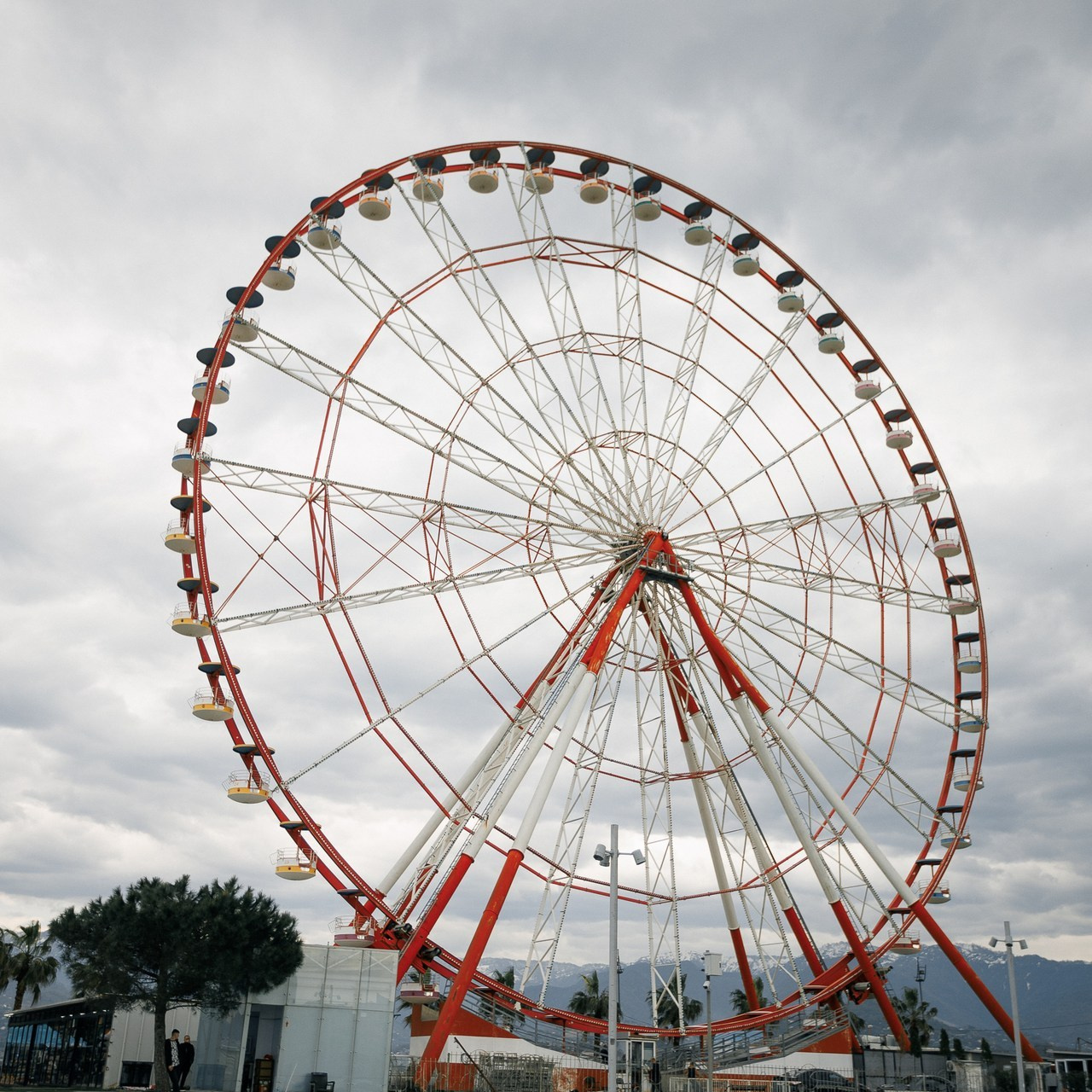 Отзывы. Фотограф Батуми | Lera Rawlick