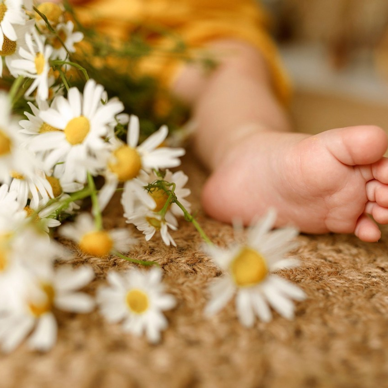 Отзывы. Фотограф новорождённых семейный фотограф Томск Елена Каплина