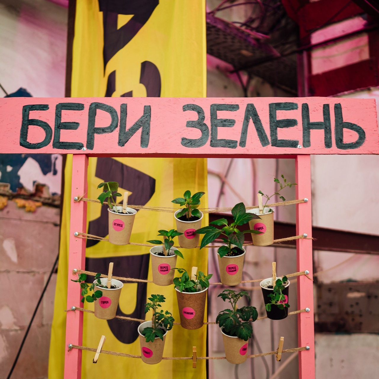 Отзывы. Фотограф Катерина Гачко и Макс Гачко