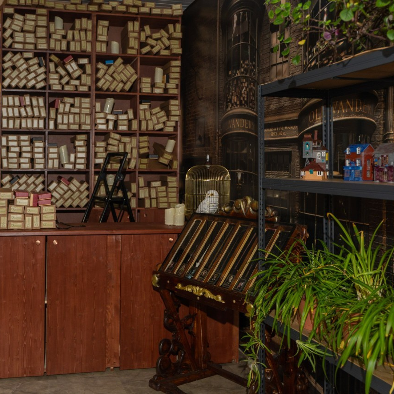 Отзывы. Фотограф Дмитров. Москва