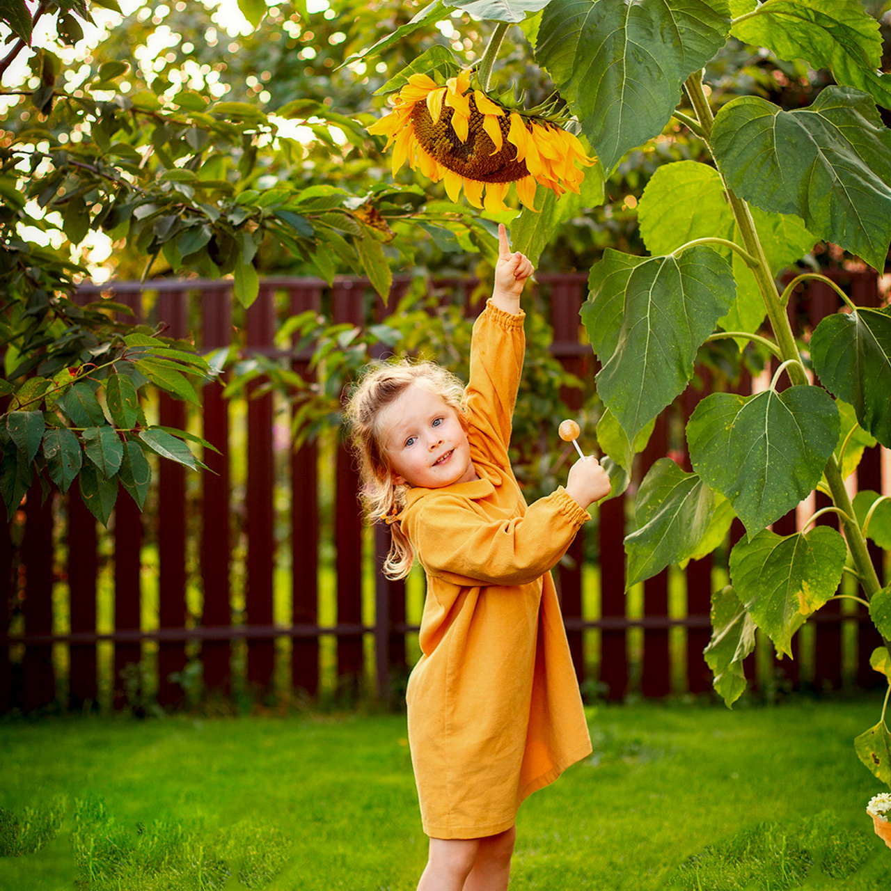 Отзывы. Фотограф Дмитров. Москва