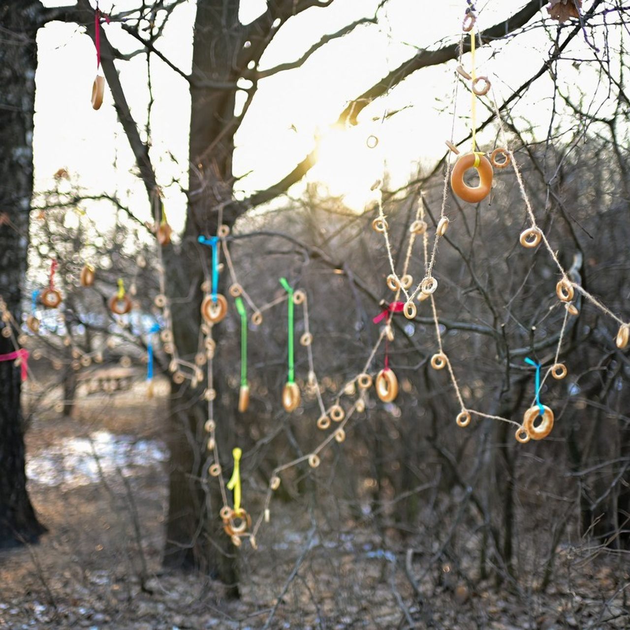 Отзывы. Фотограф | Ирина Гамзинова | Москва