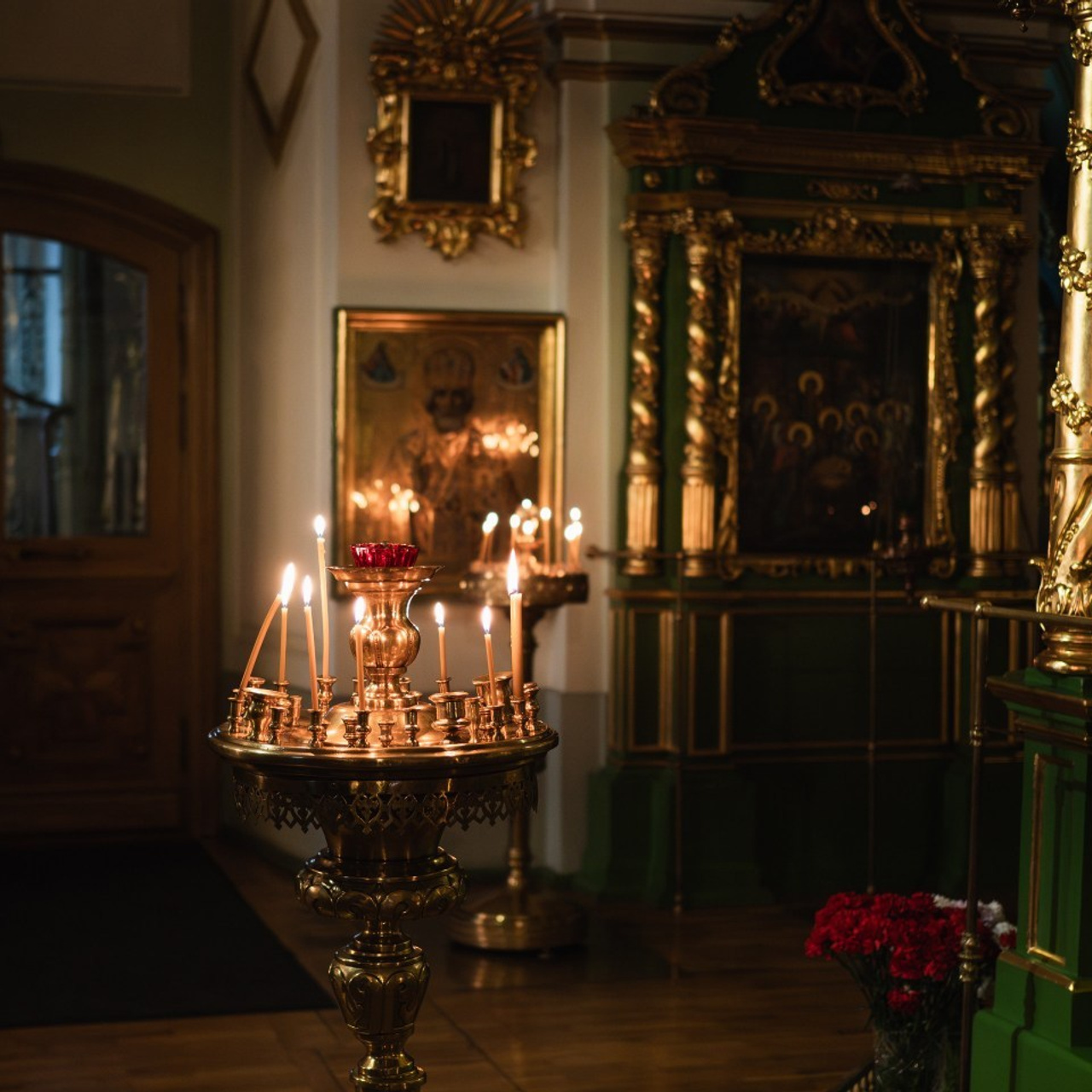 Отзывы. Фотограф животных и людей в Санкт-Петербурге Дарья Быстрицкая