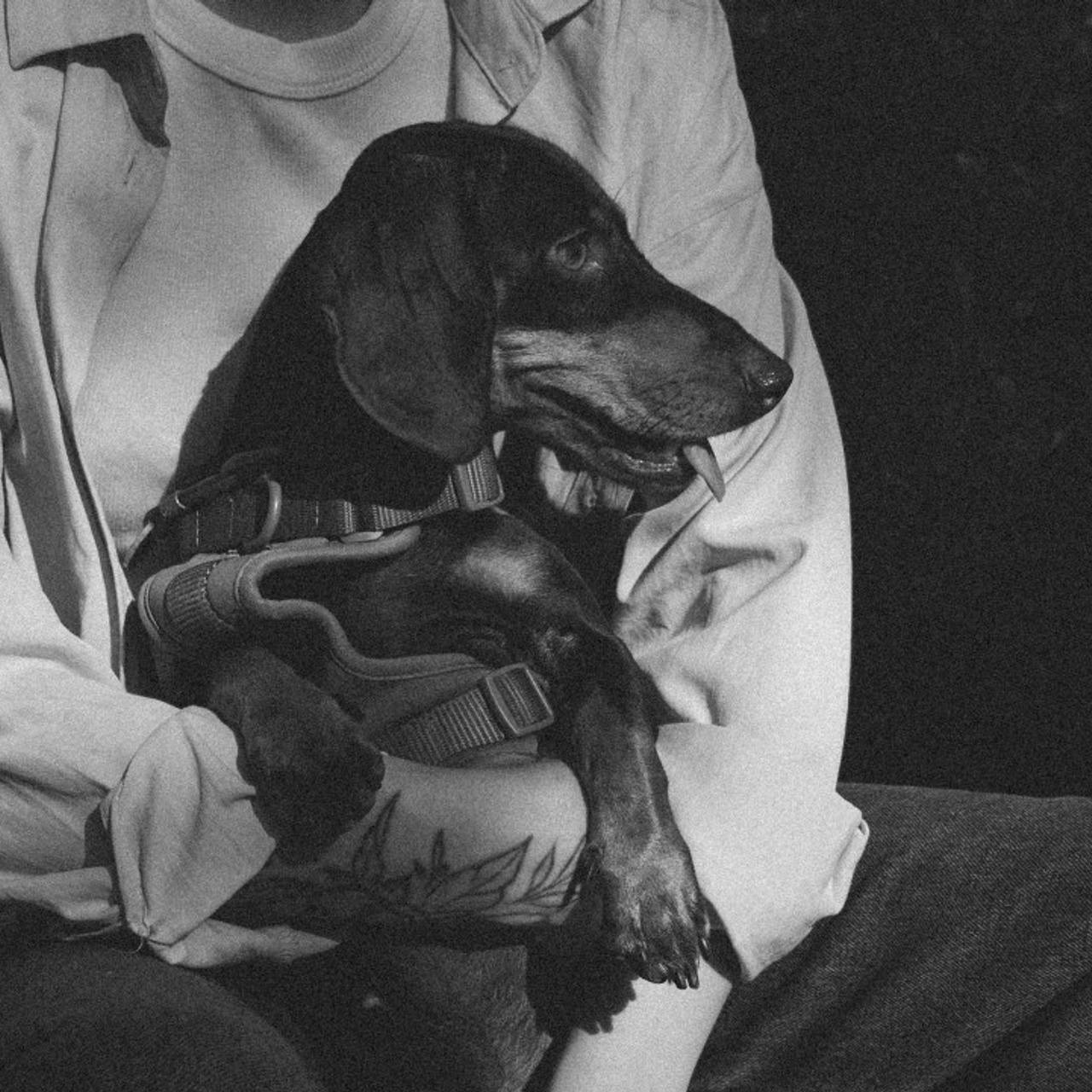 Отзывы. Фотограф Ксения Соколова — портретная, свадебная и семейная съемки в Барнауле