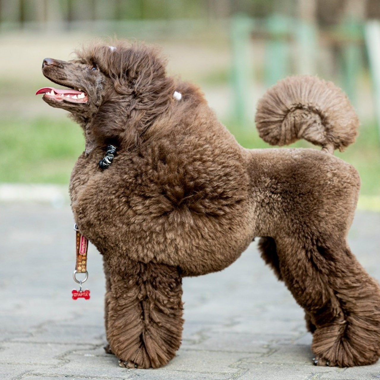 Отзывы. Семейный и детский фотограф. Школьный фотограф в Хабаровске