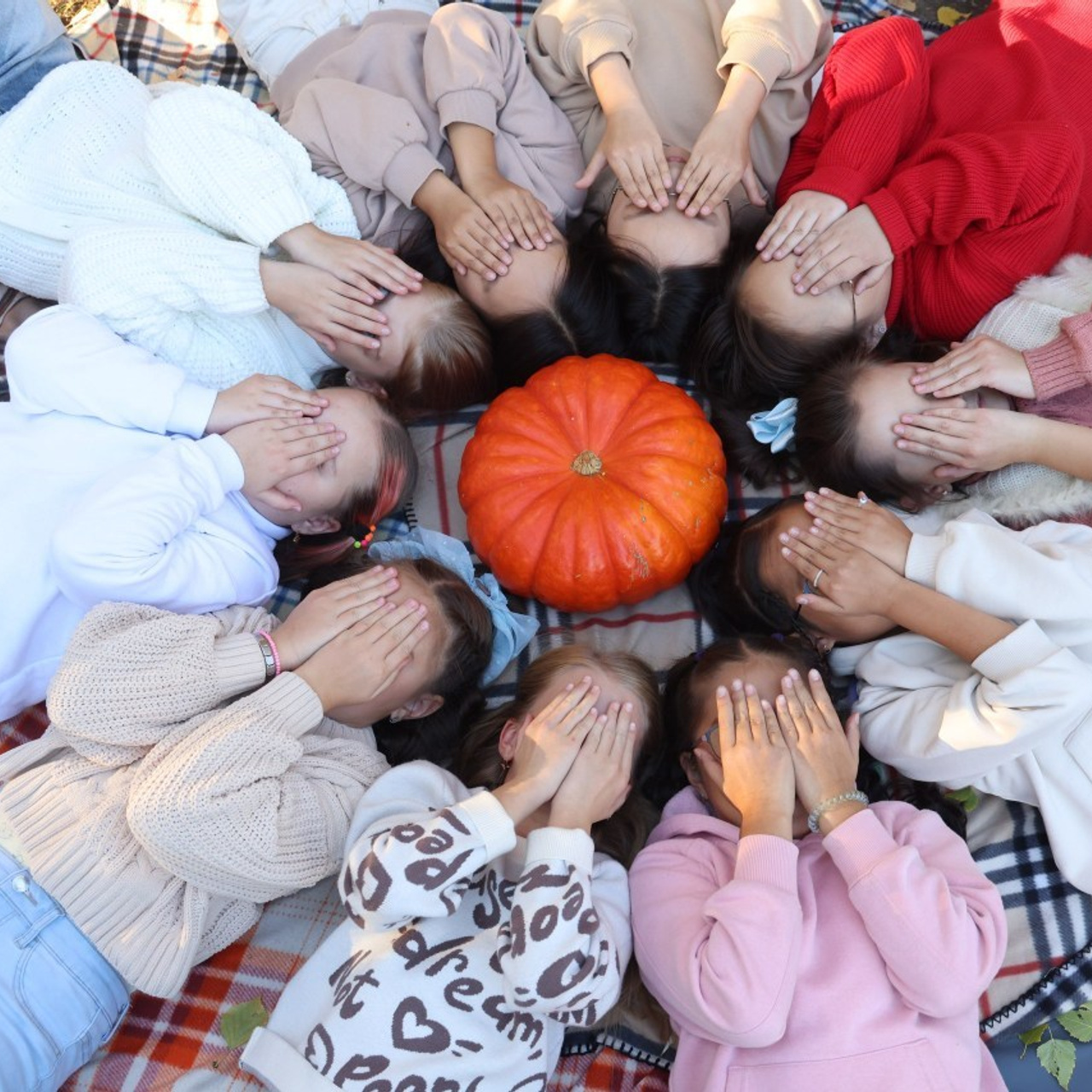 Отзывы. BAMbook