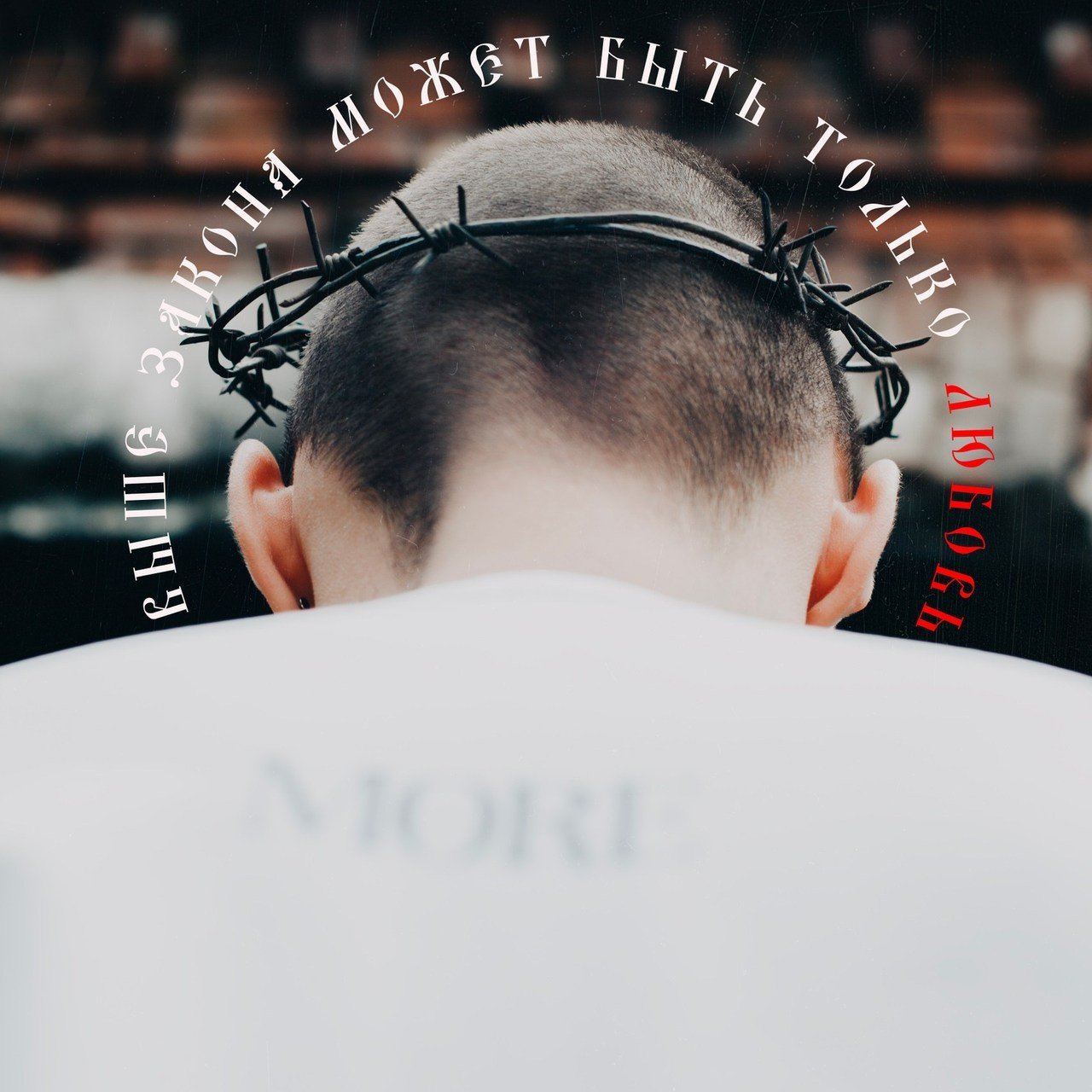 Отзывы о фотографе Александре Алферове | Что говорят мои клиенты. ALFEROV PHOTOGRAPHER | Портреты, свет и живые моменты