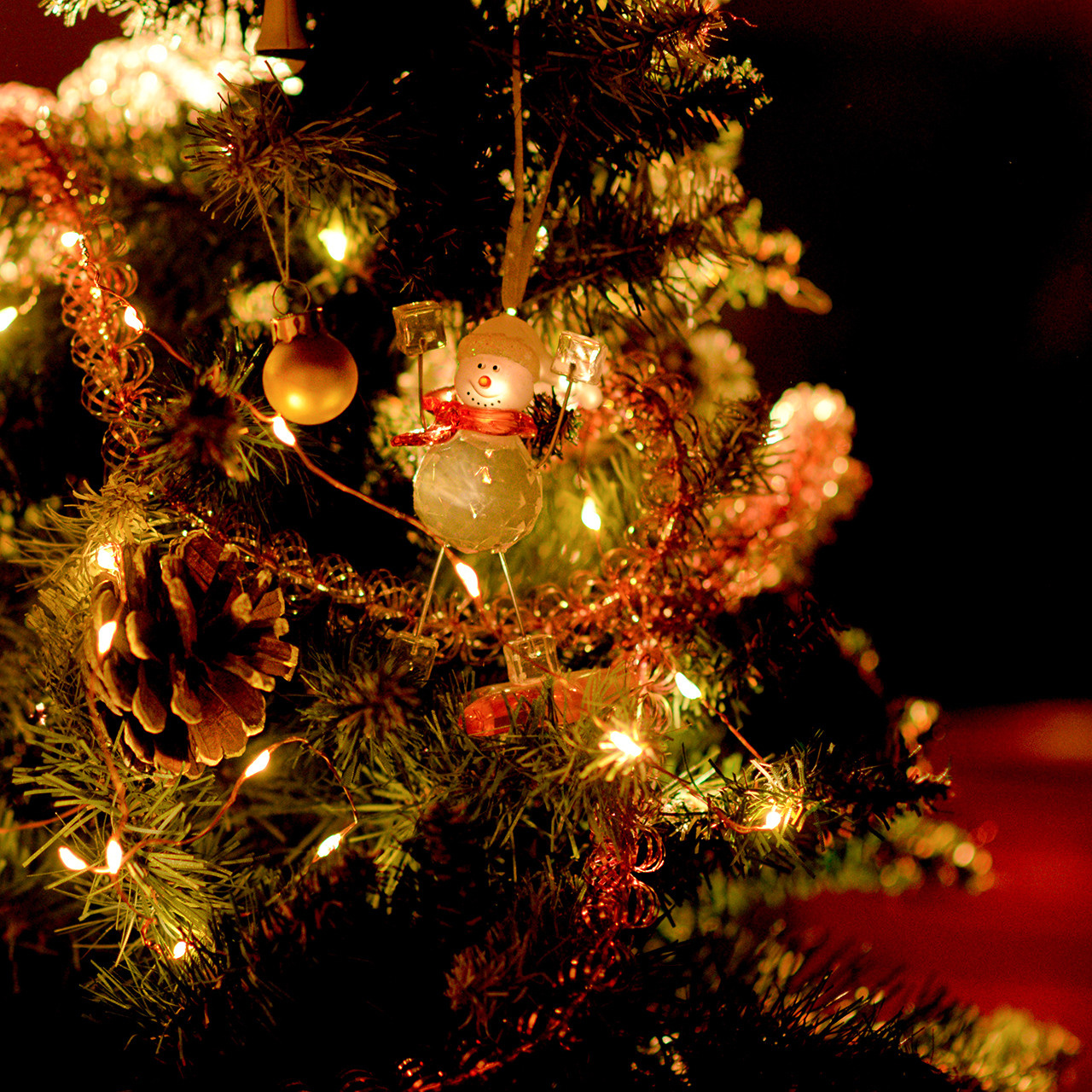 Отзывы. Детский и семейный фотограф в Москве Ульяна Федорова