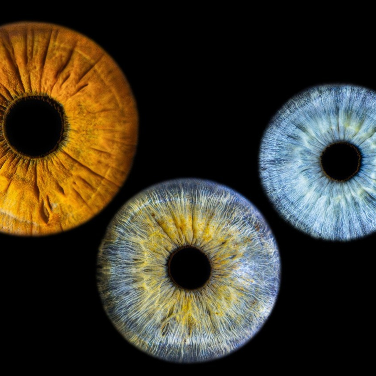 Отзывы. Главная