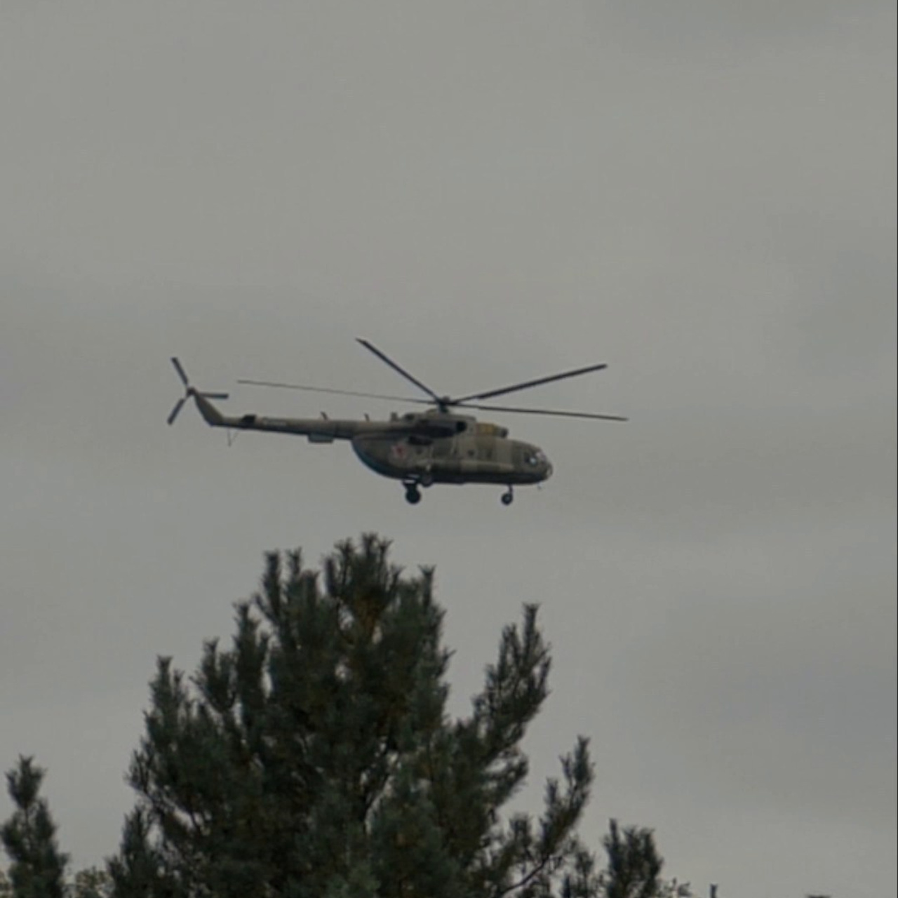 Отзывы. ВИДЕОГРАФ АНТОН КУЗНЕЦОВ