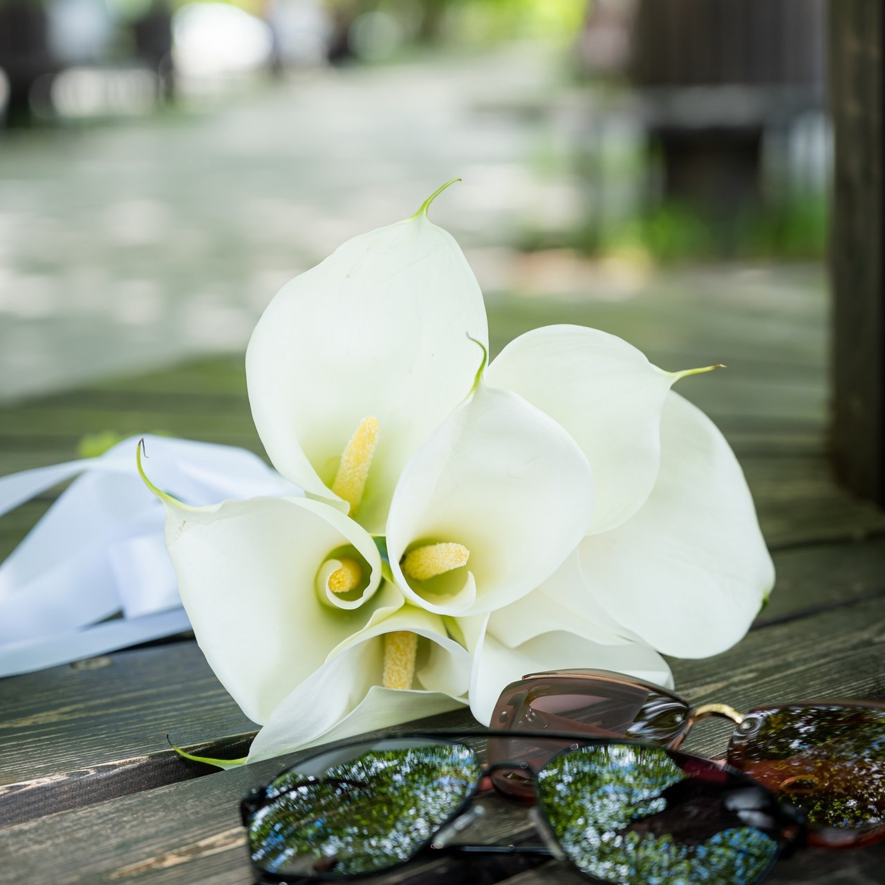 Отзывы. Семейный фото и видео оператор Светлана Забава Тольятти Самара