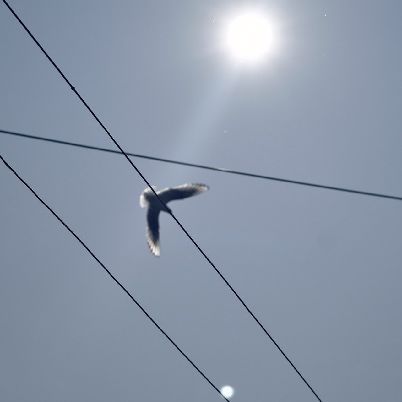 Отзывы. Контент фотограф в Санкт-Петербурге Эрик Шартон