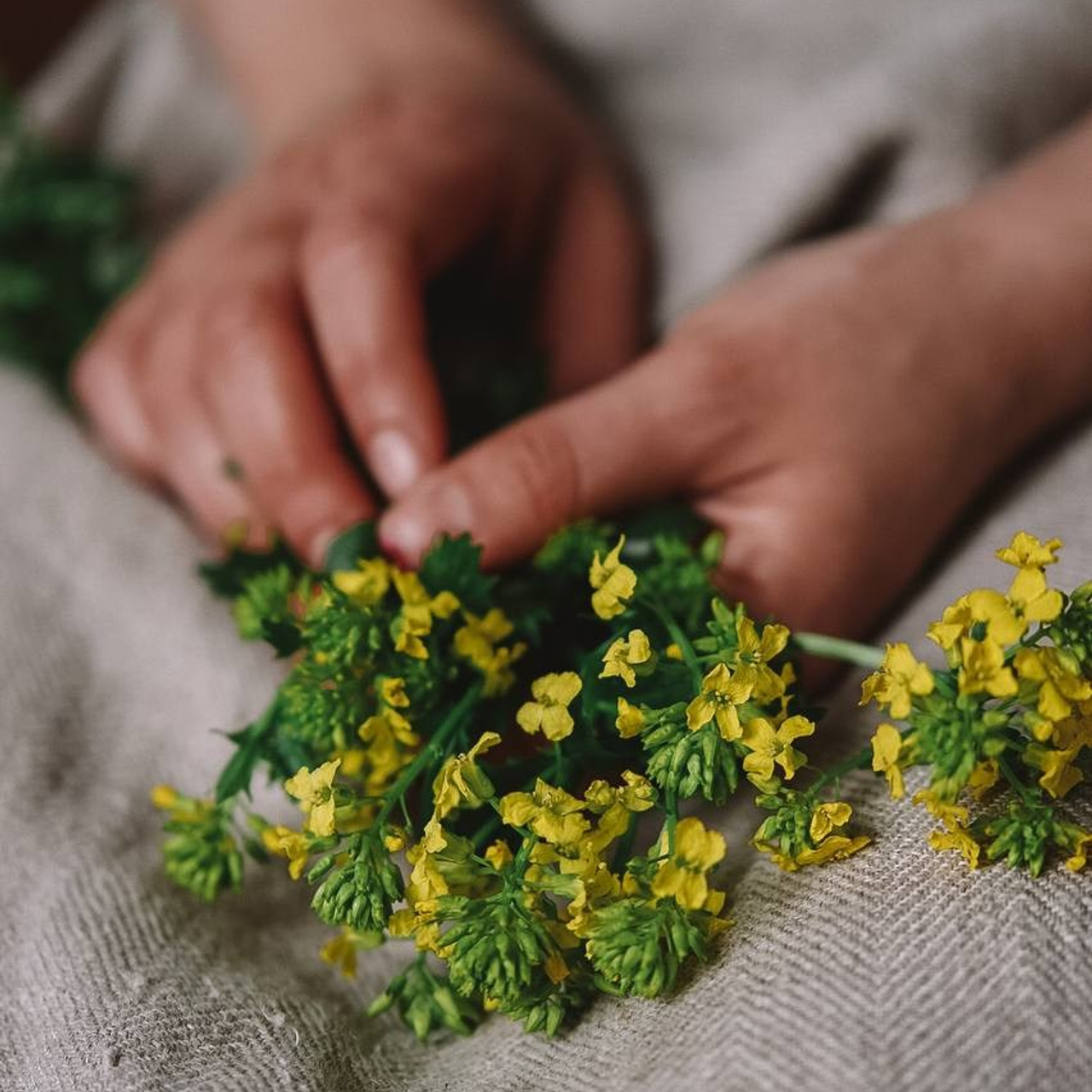 Предметная съёмка. Катерина Губанова