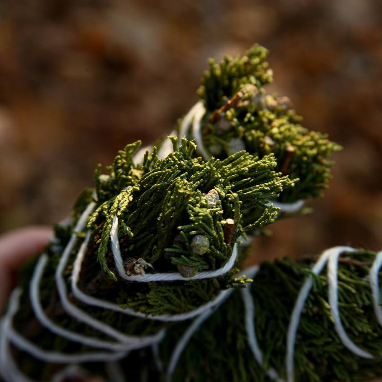 Предметная съёмка. Катерина Губанова