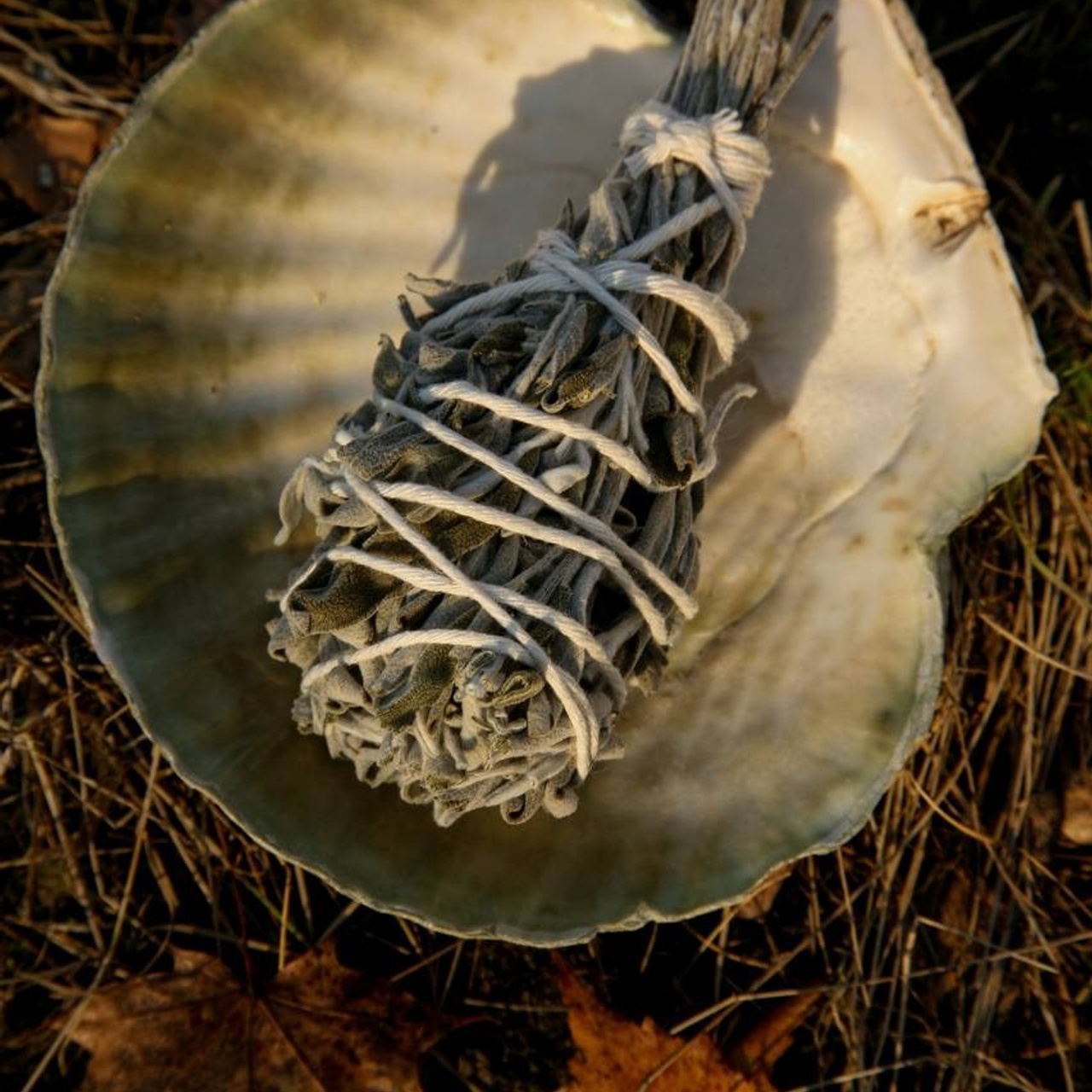 Предметная съёмка. Катерина Губанова