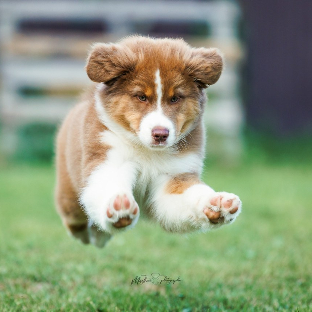 Отзывы. Главная