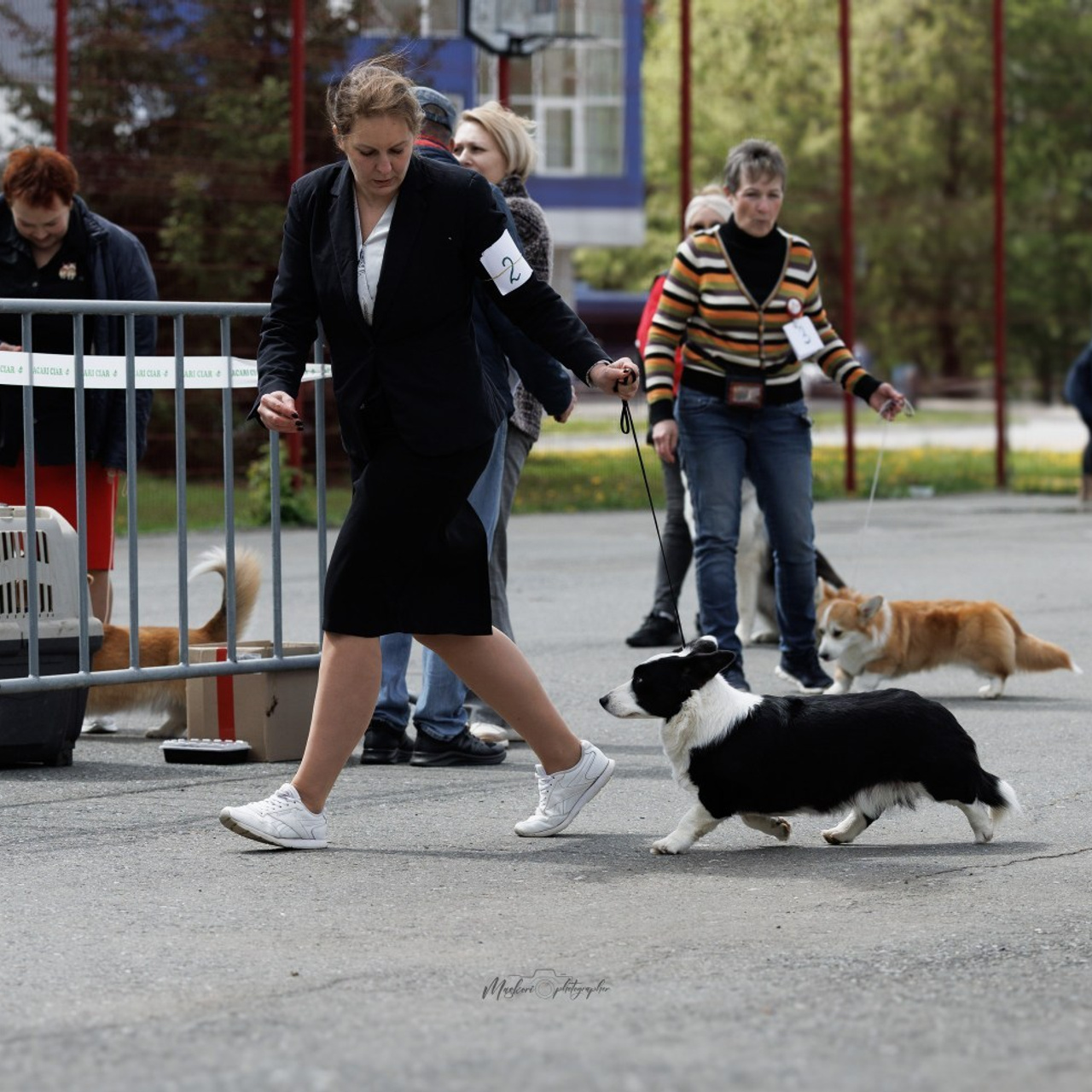 Отзывы. Главная