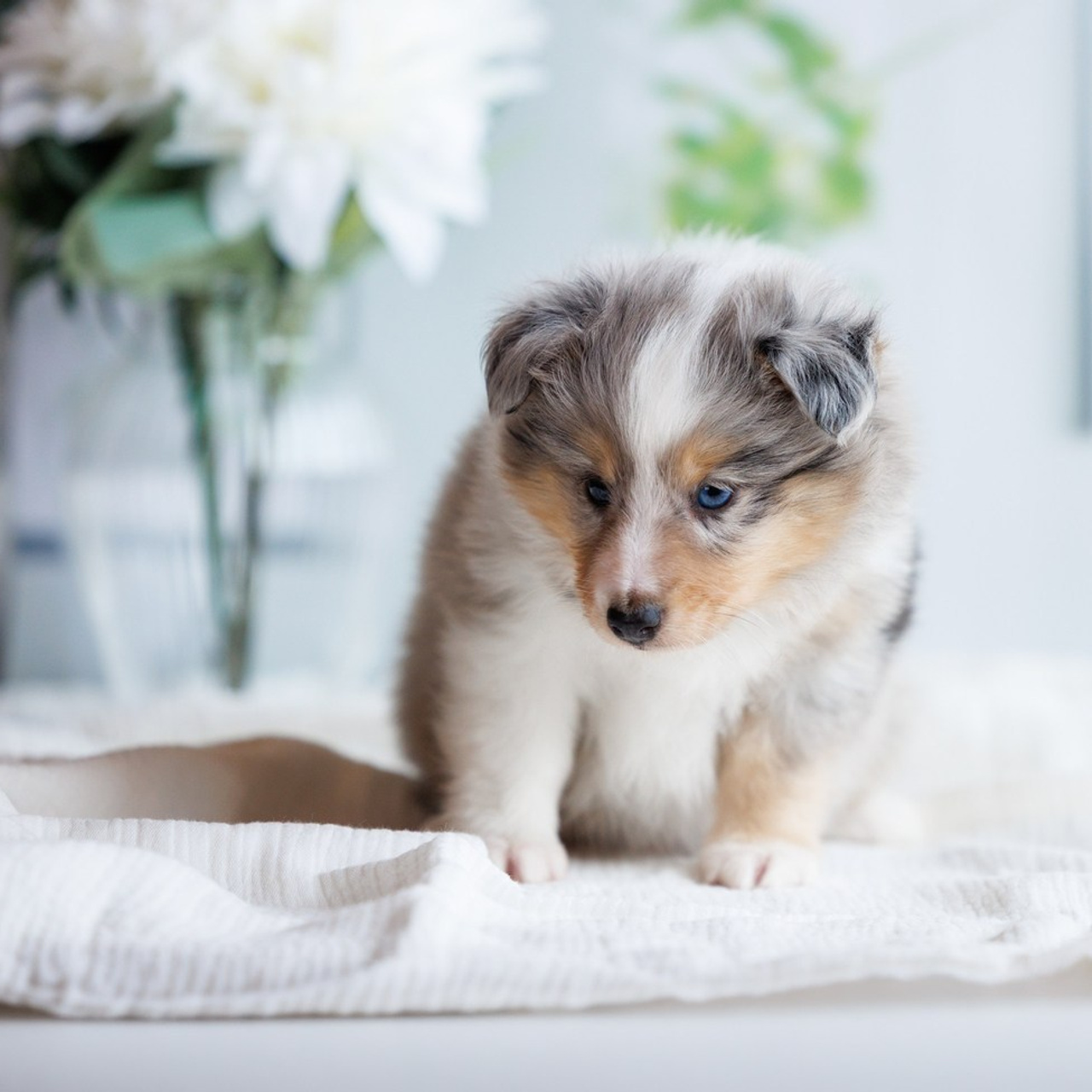 Отзывы. Главная