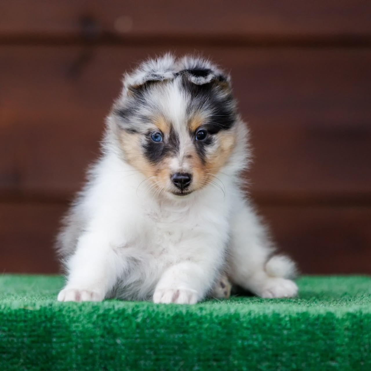 Отзывы. Главная