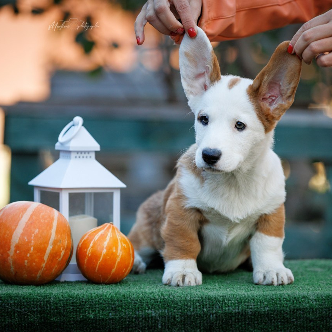 Отзывы. Главная