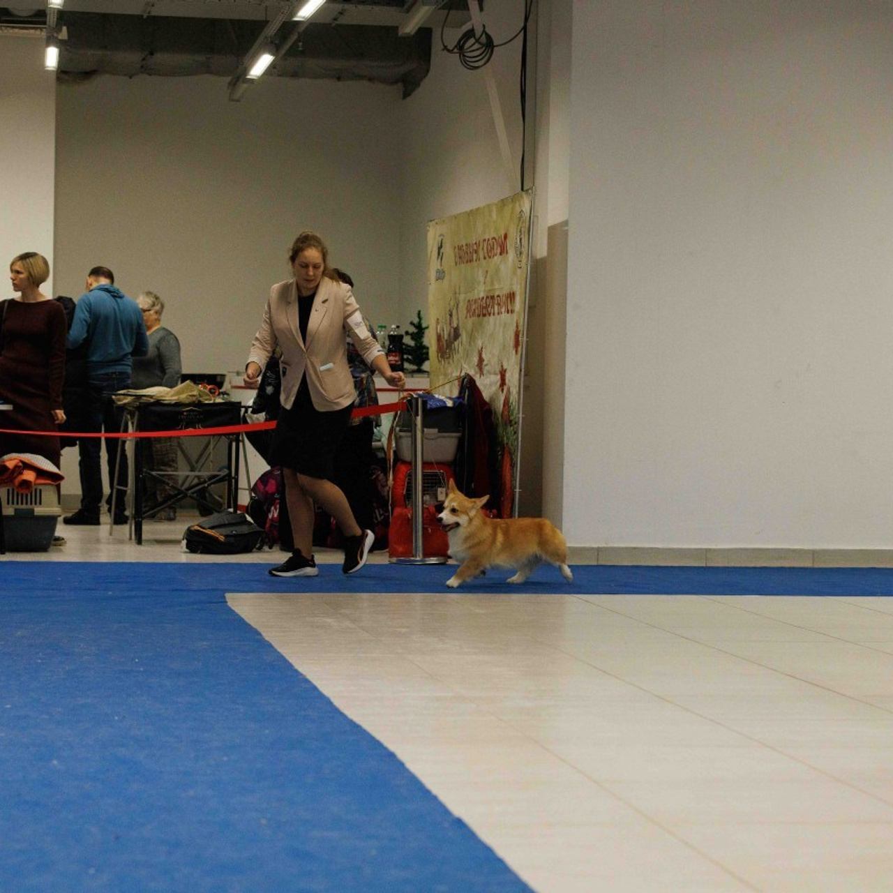 Отзывы. Главная