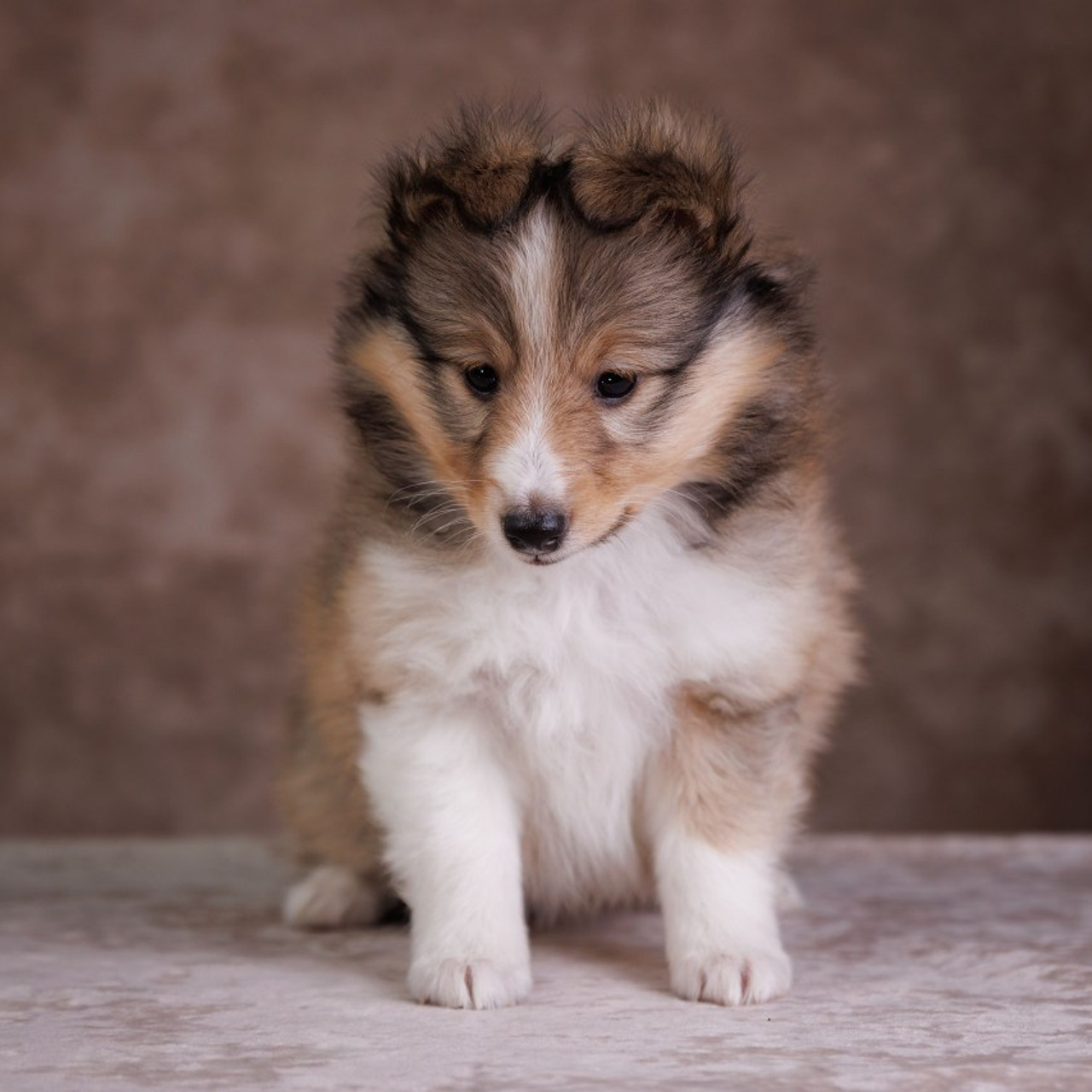 Отзывы. Главная