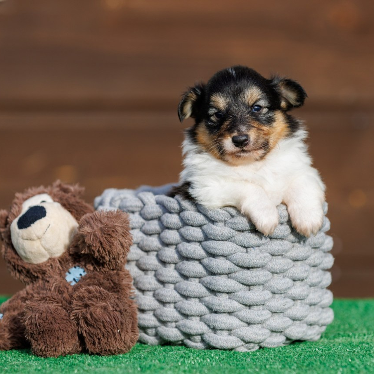 Отзывы. Главная