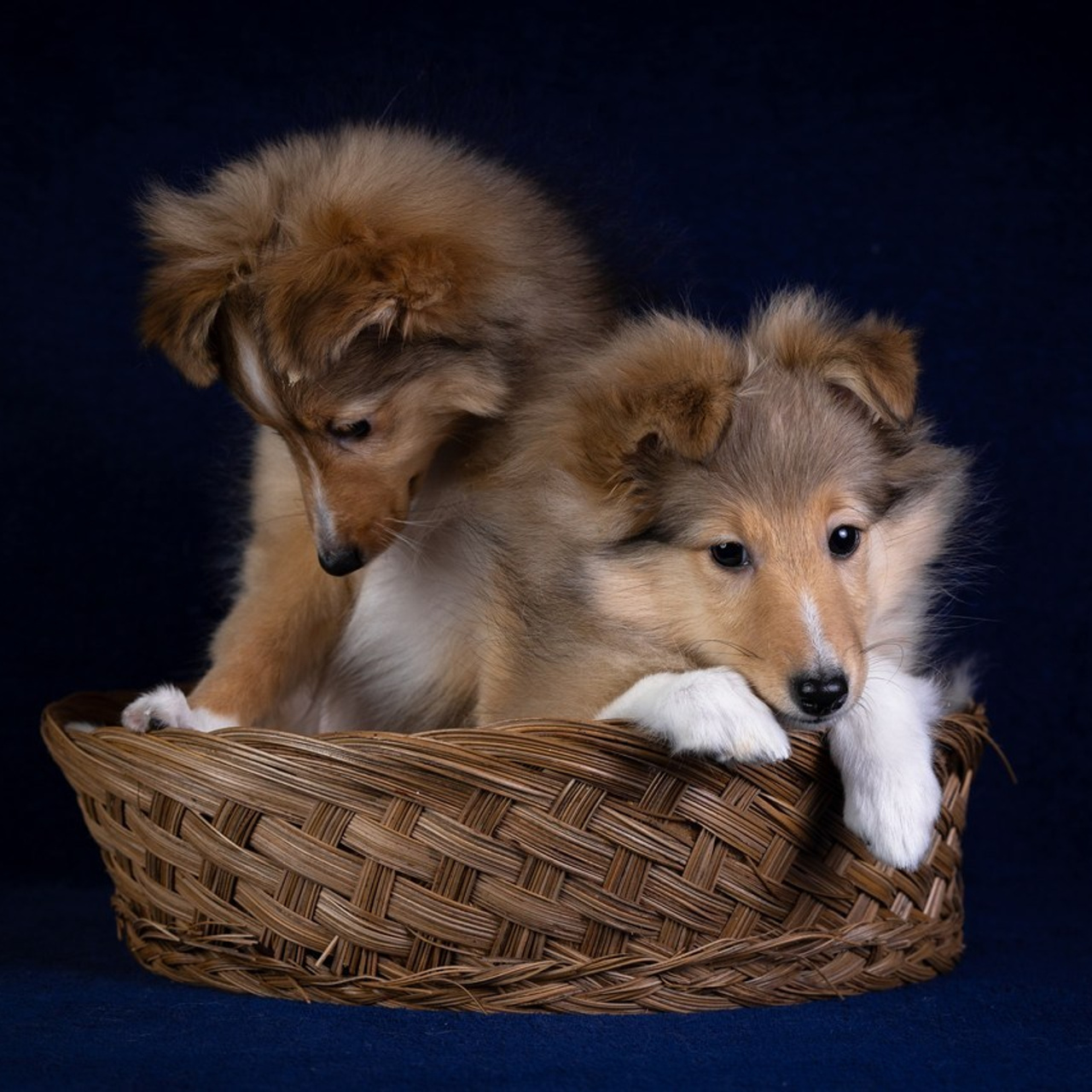 Отзывы. Главная