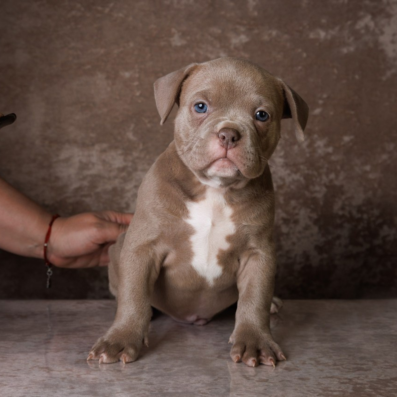 Отзывы. Главная