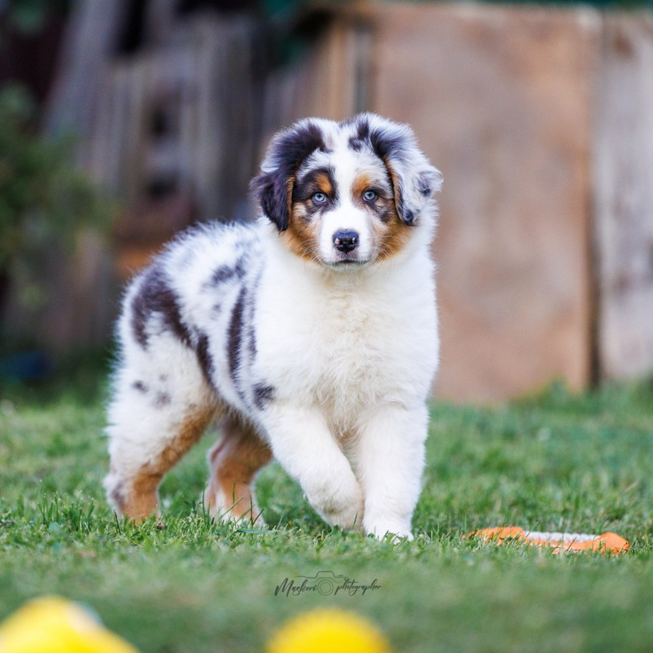 Отзывы. Главная