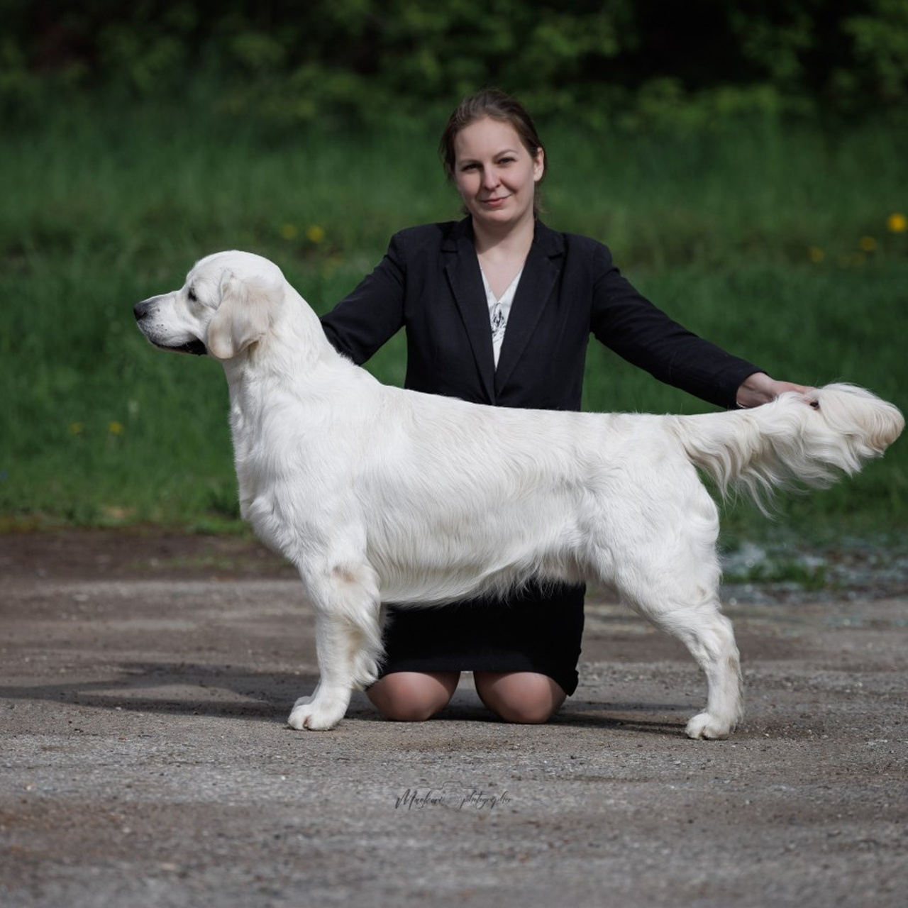 Отзывы. Главная