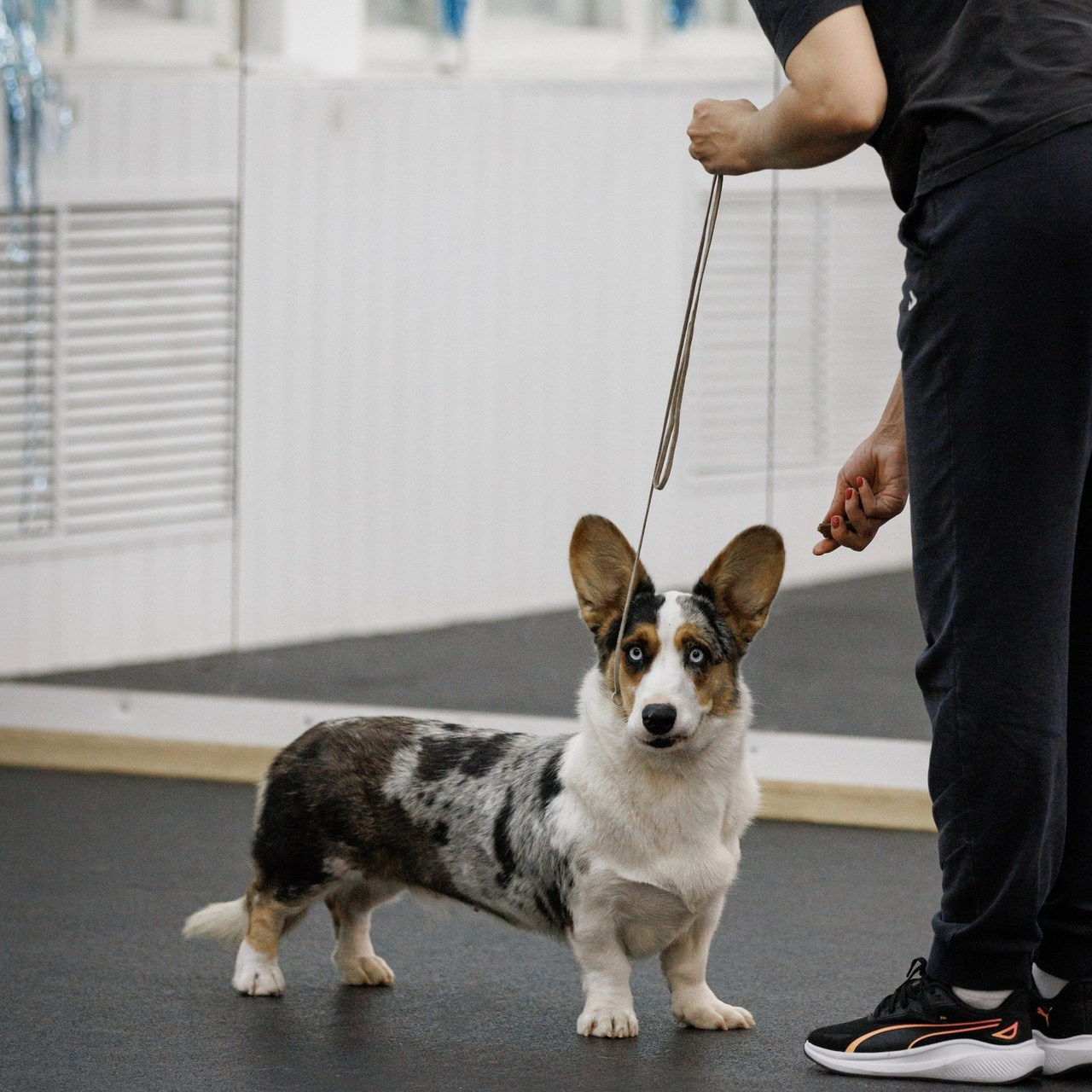 Отзывы. Главная