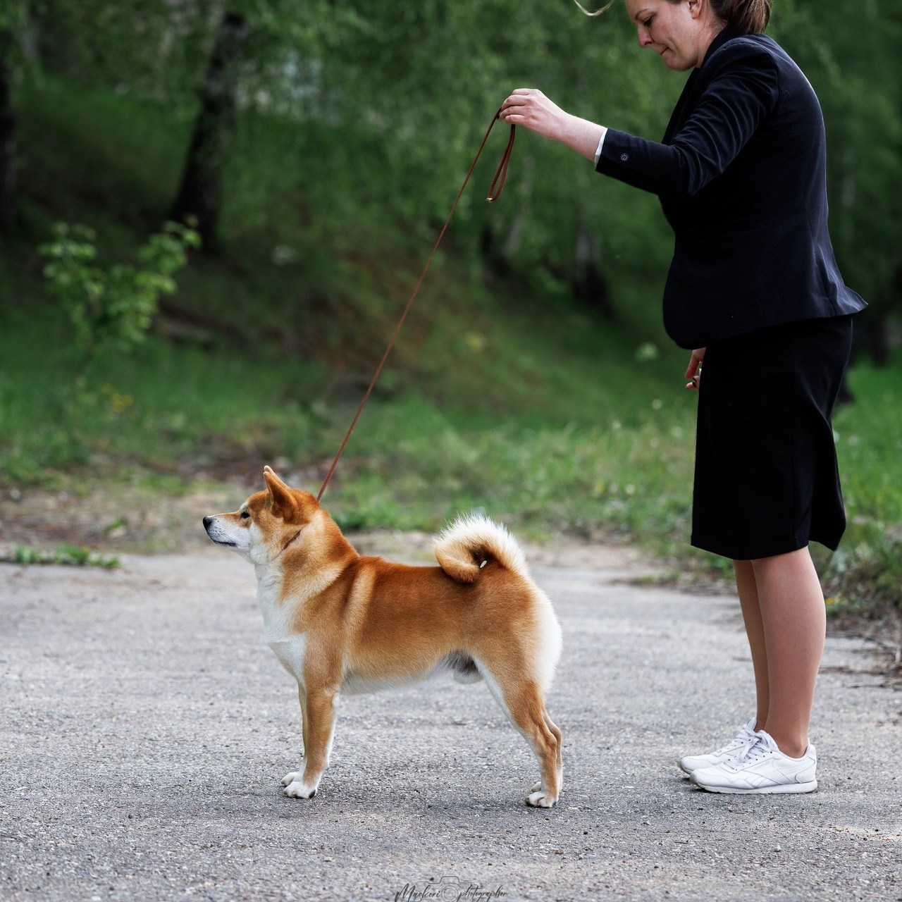 Отзывы. Главная