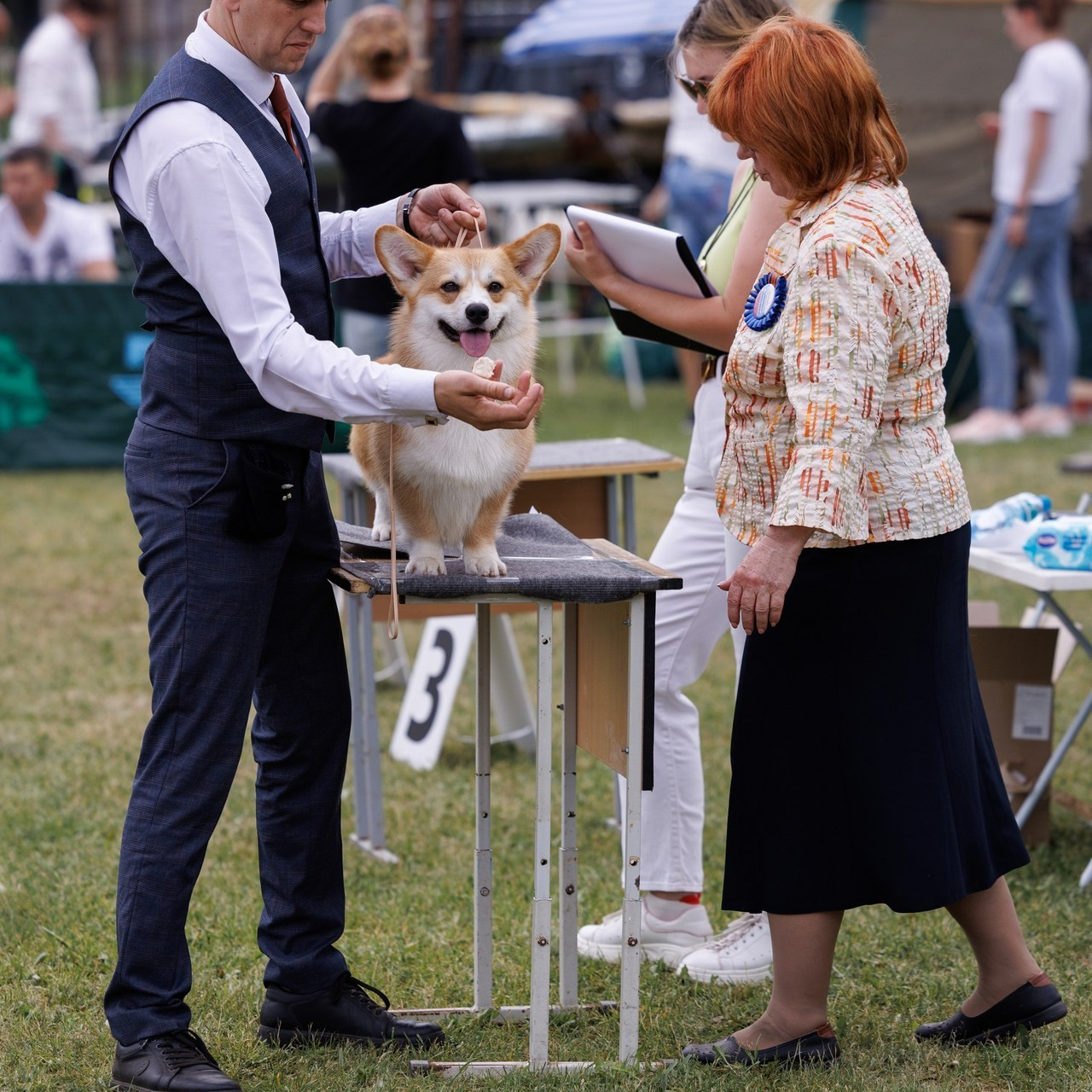 Отзывы. Главная