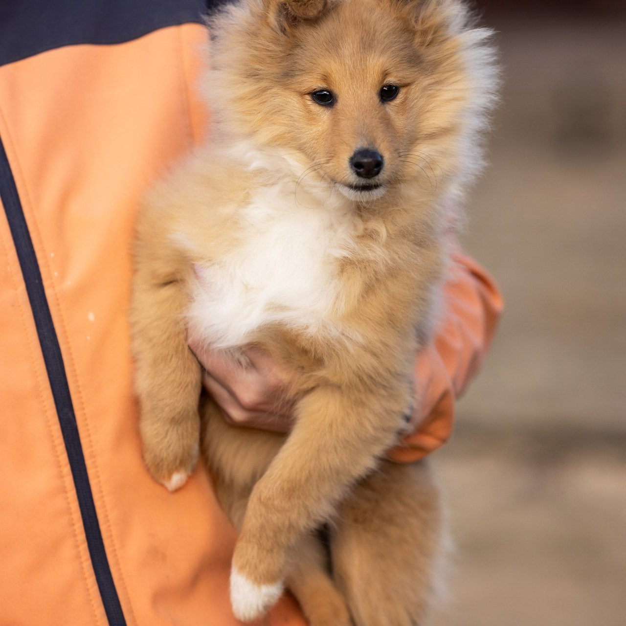 Отзывы. Главная