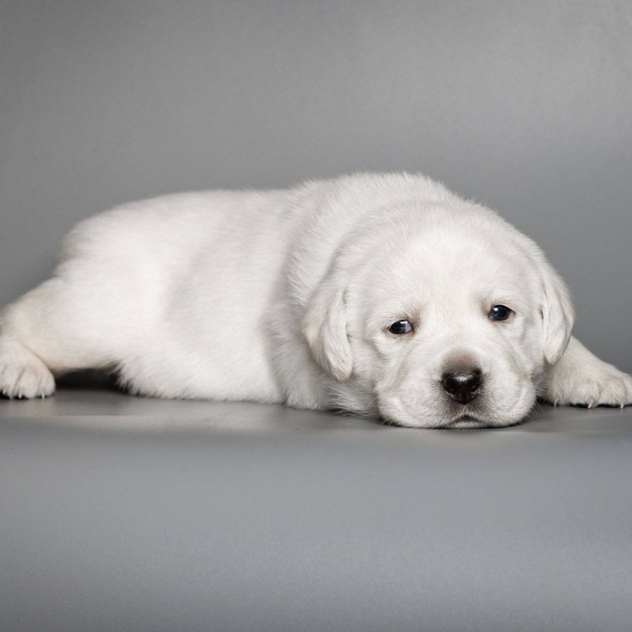 Отзывы. Главная