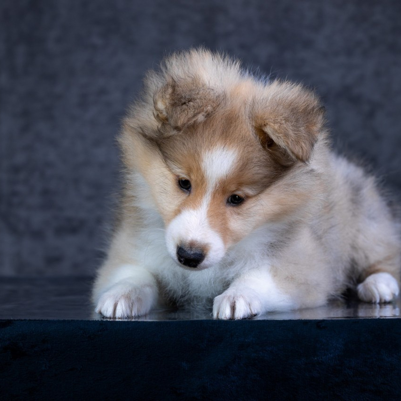 Отзывы. Главная