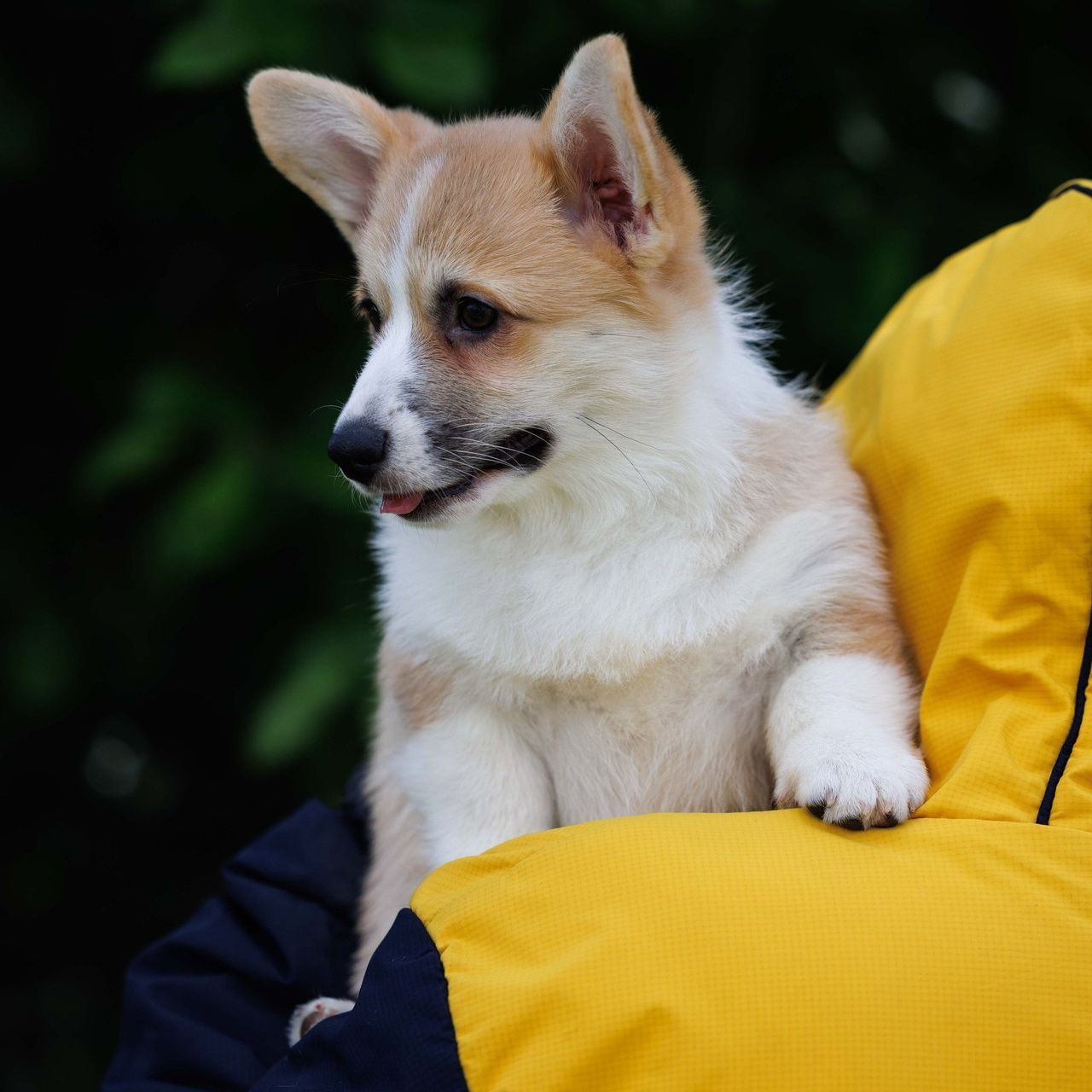 Отзывы. Главная