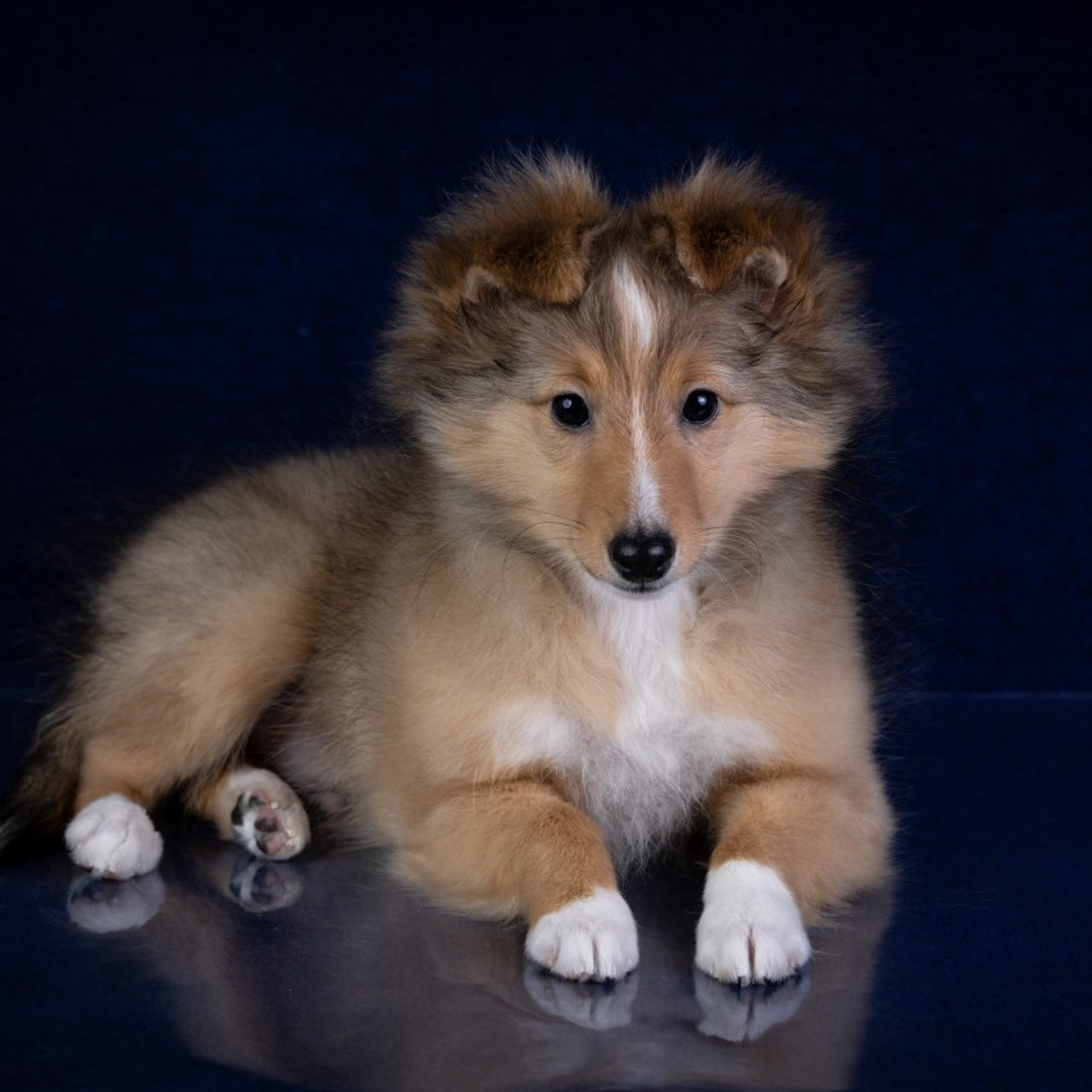 Отзывы. Главная