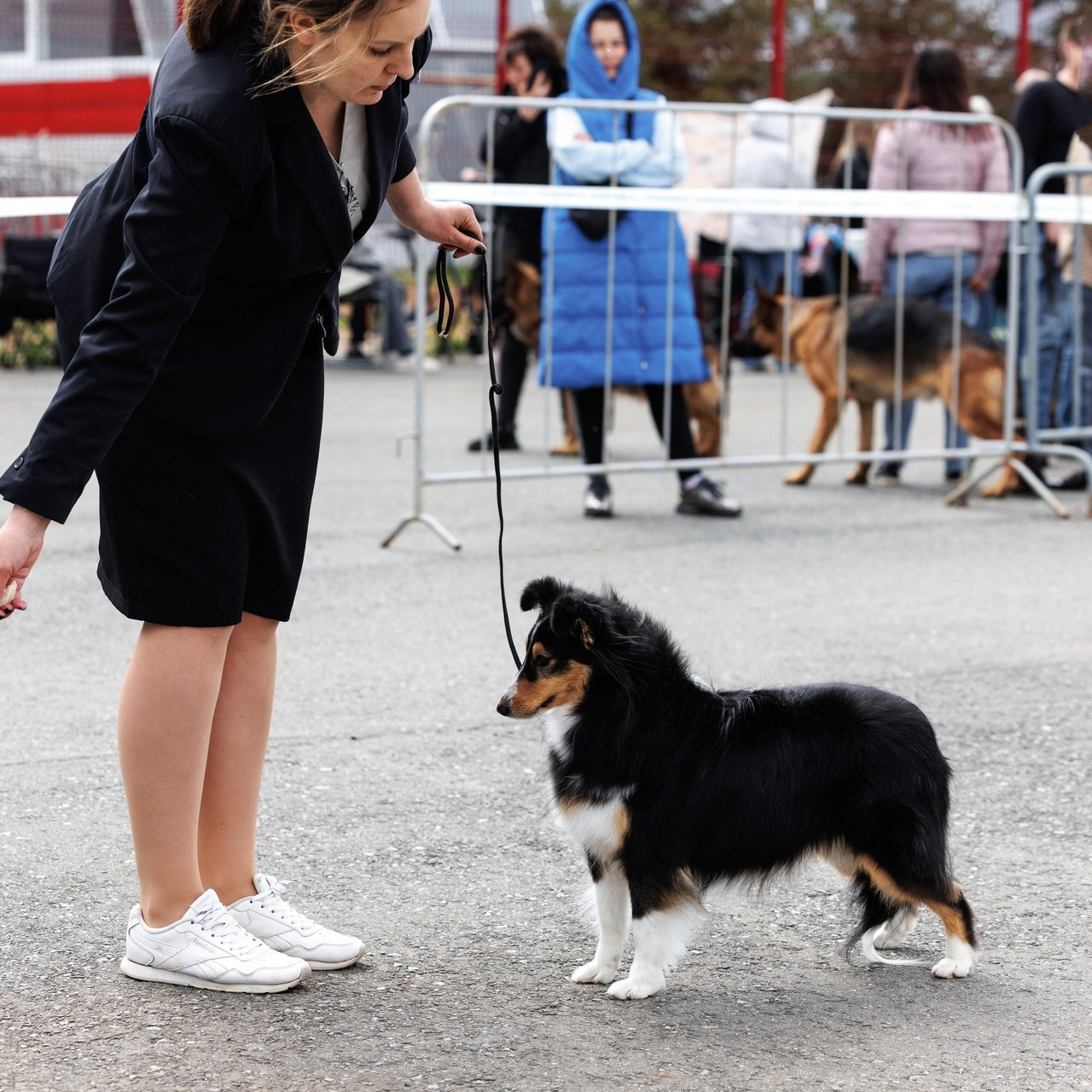 Отзывы. Главная