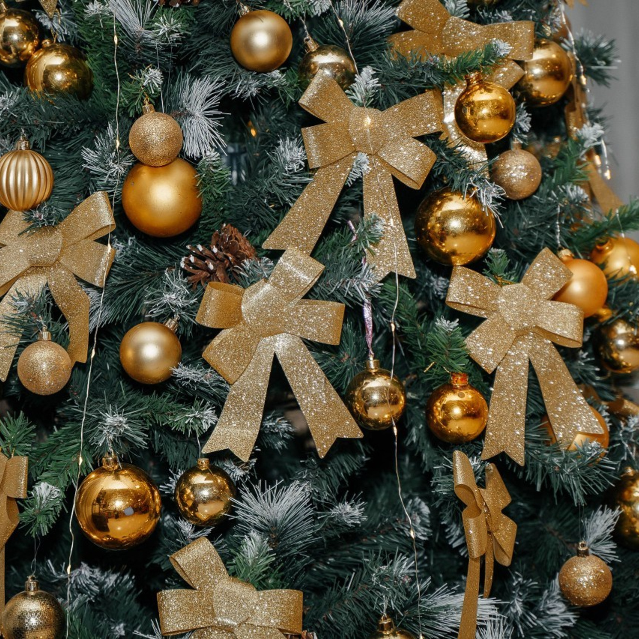 Отзывы. Контент-фотограф Власова Валентина, г. Ейск, ст. Старощербиновская