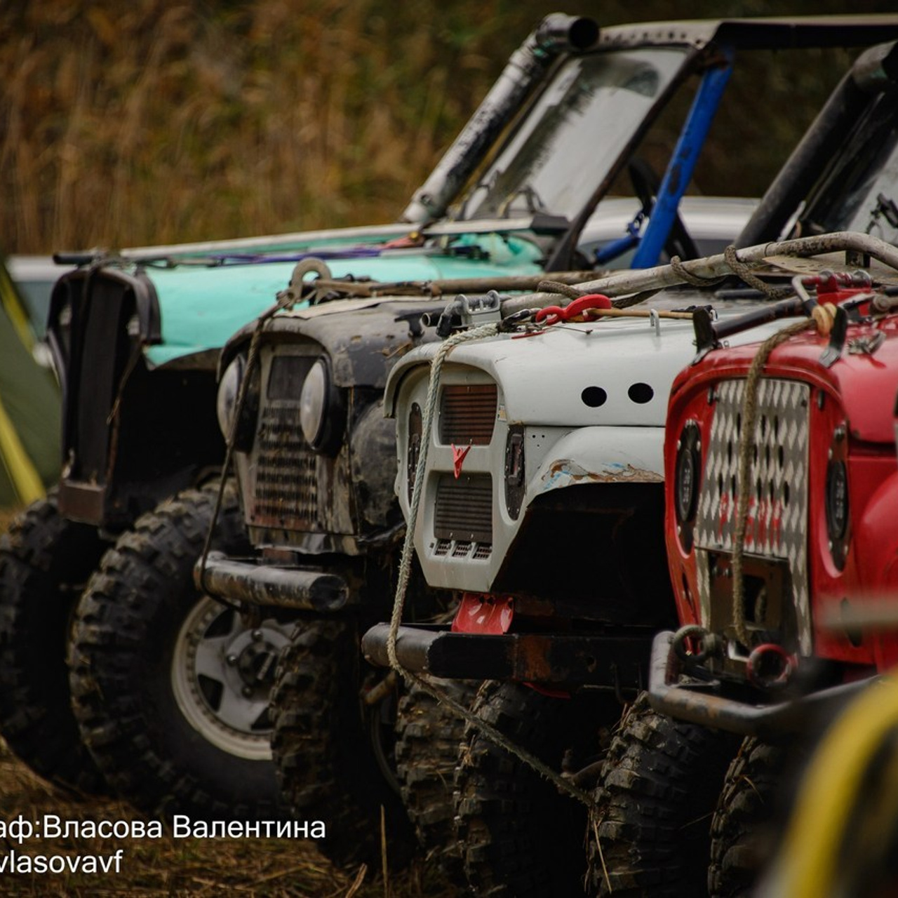 Отзывы. Контент-фотограф Власова Валентина, г. Ейск, ст. Старощербиновская