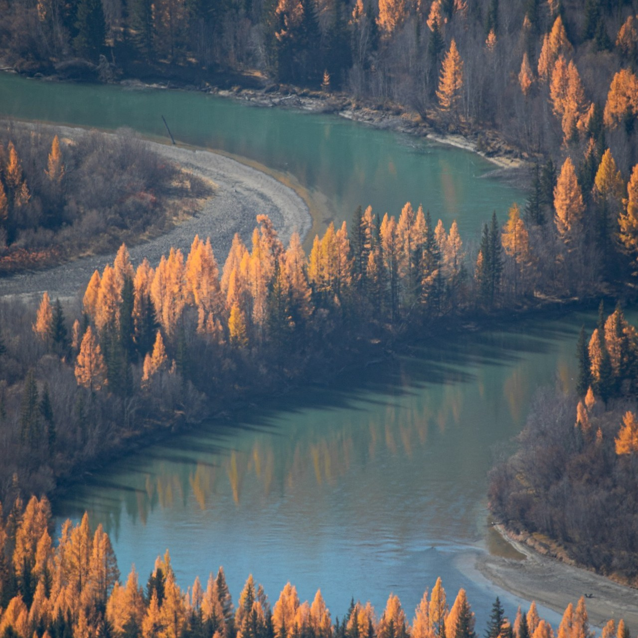 Отзывы. Фотограф Кирилл Мешков Кемерово