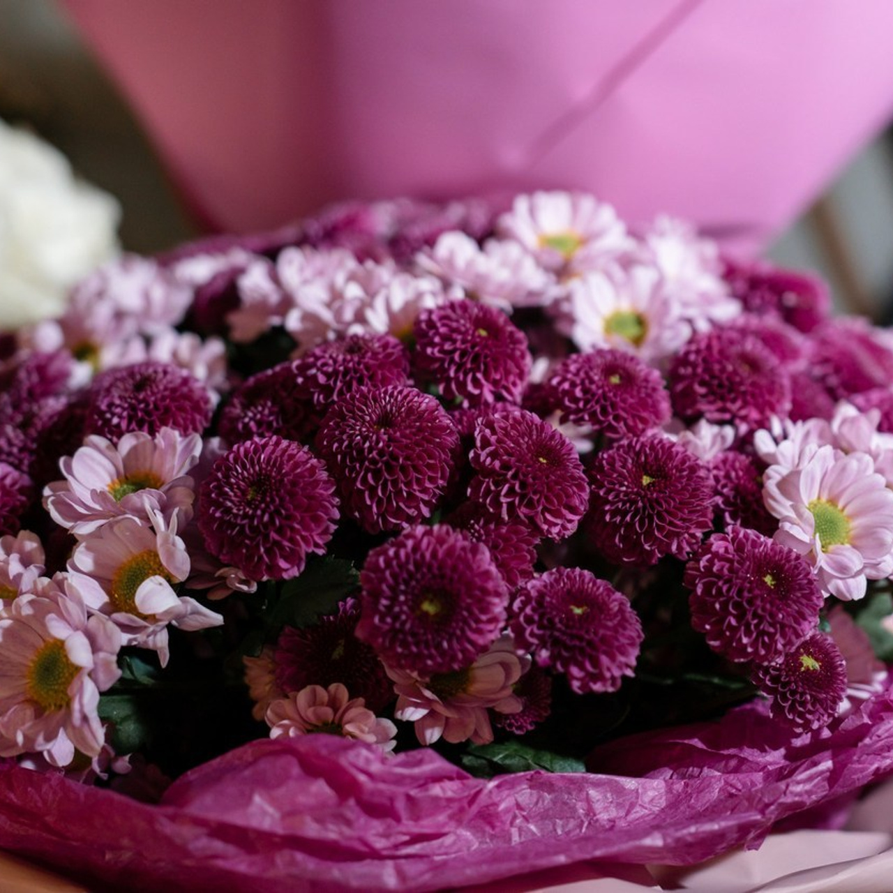 Отзывы. Свадебный фотограф Вера Климова