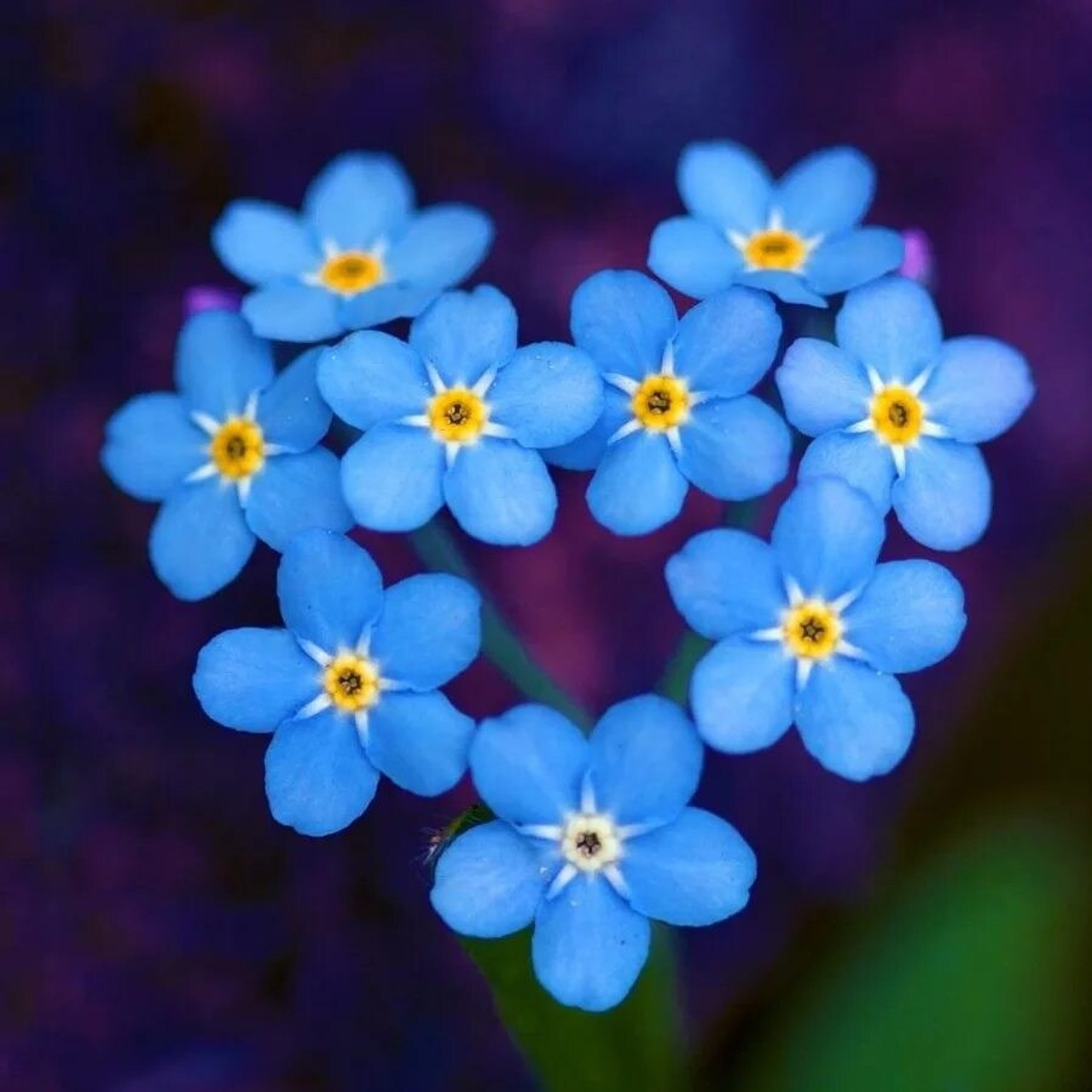 Фотограф Костарева Анна. Отзывы. Семейный, детский и женский фотограф в Екатеринбурге Анна Костарева