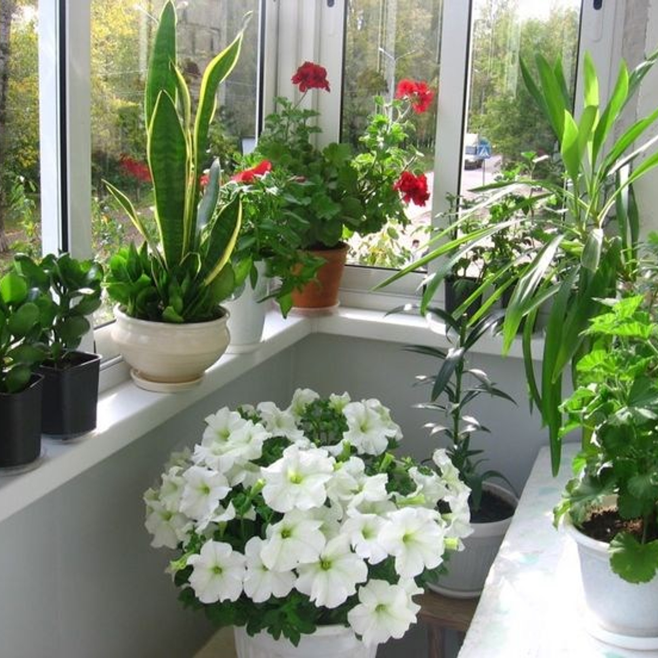 Результаты. Биогумус «Нижегородская земля»