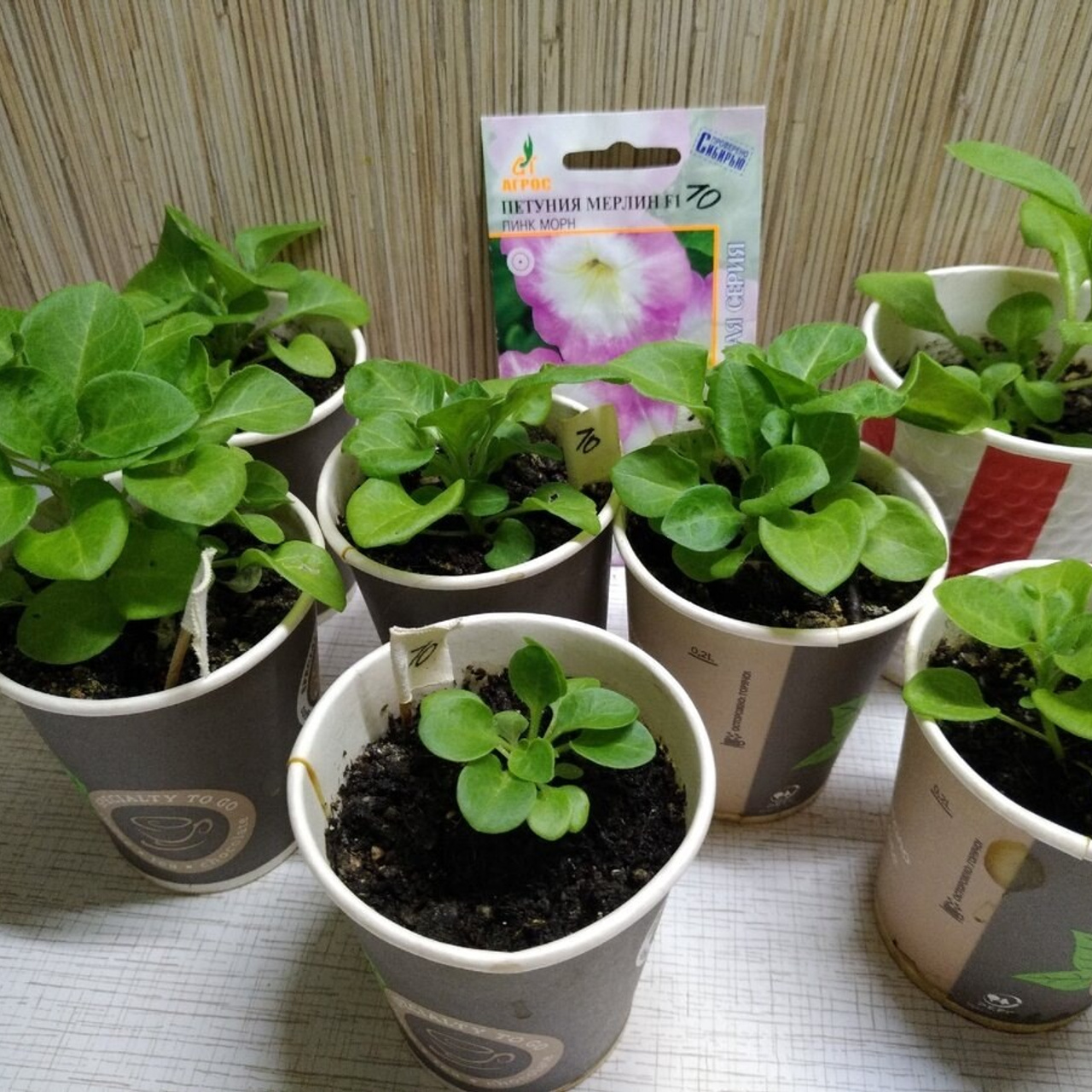 Результаты. Биогумус «Нижегородская земля»