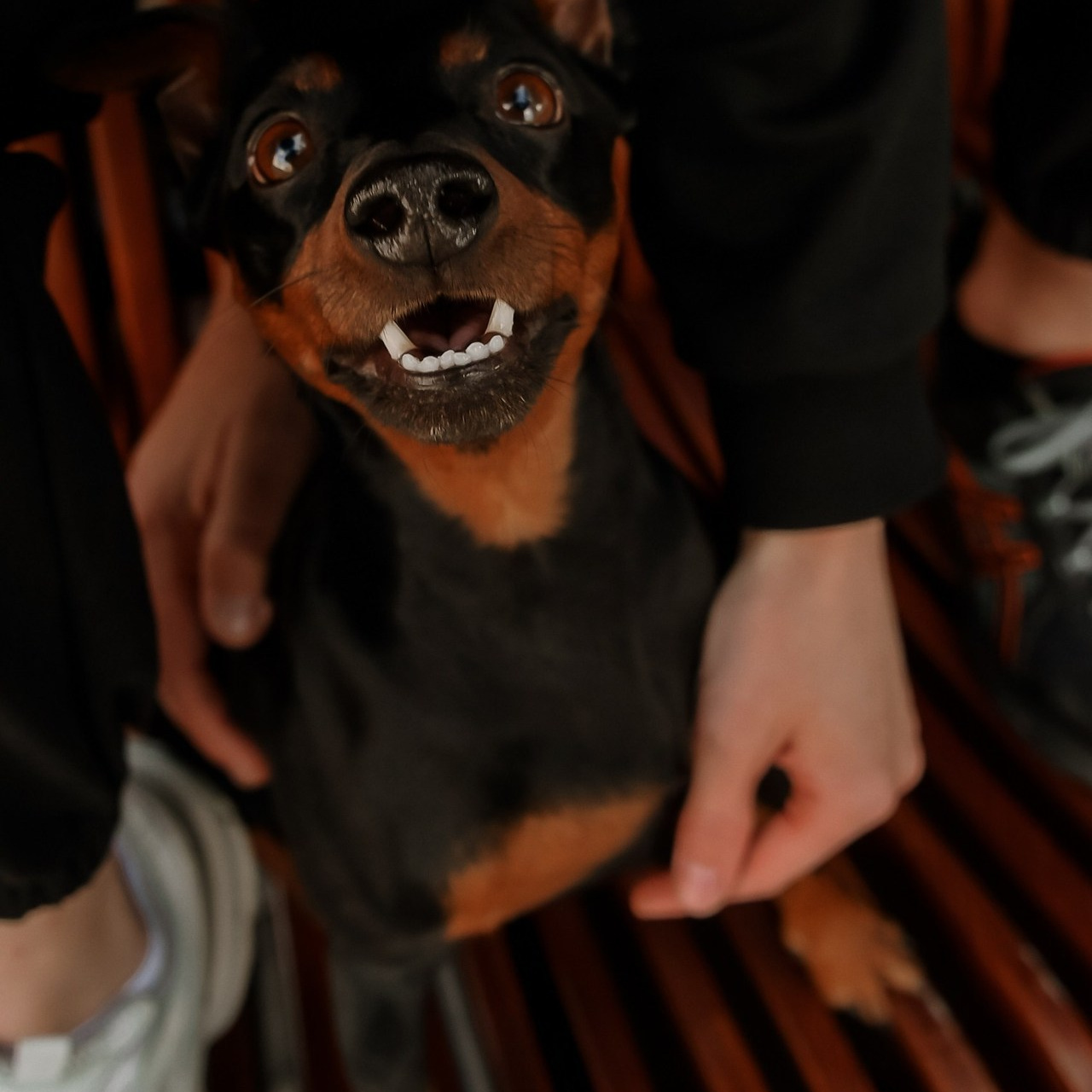 Отзывы. Свадебный фотограф в Санкт Петербурге Падерина Кристина