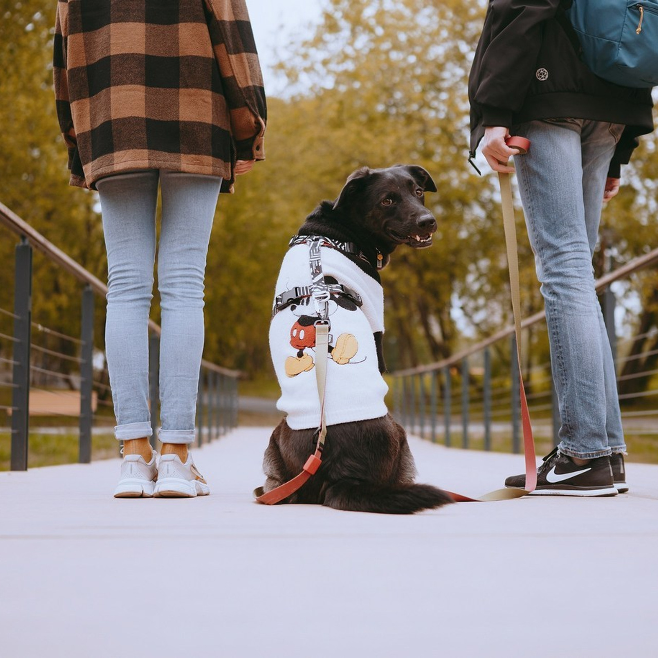 Отзывы. Фотограф- анималист Александра Матвеева