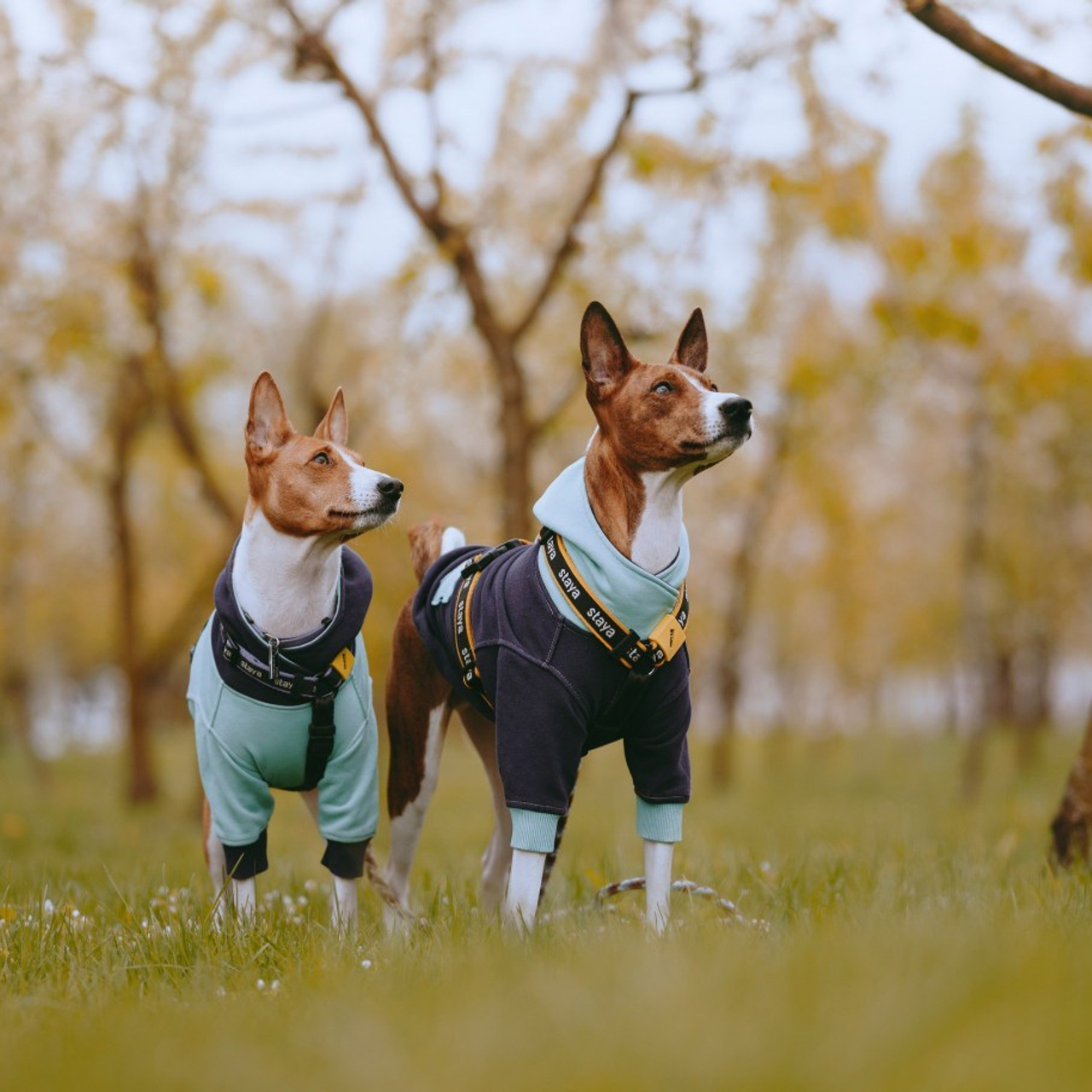 Отзывы. Фотограф- анималист Александра Матвеева